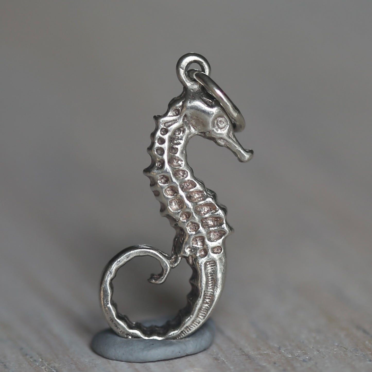 Fish and Marine Mammal Silver Charms