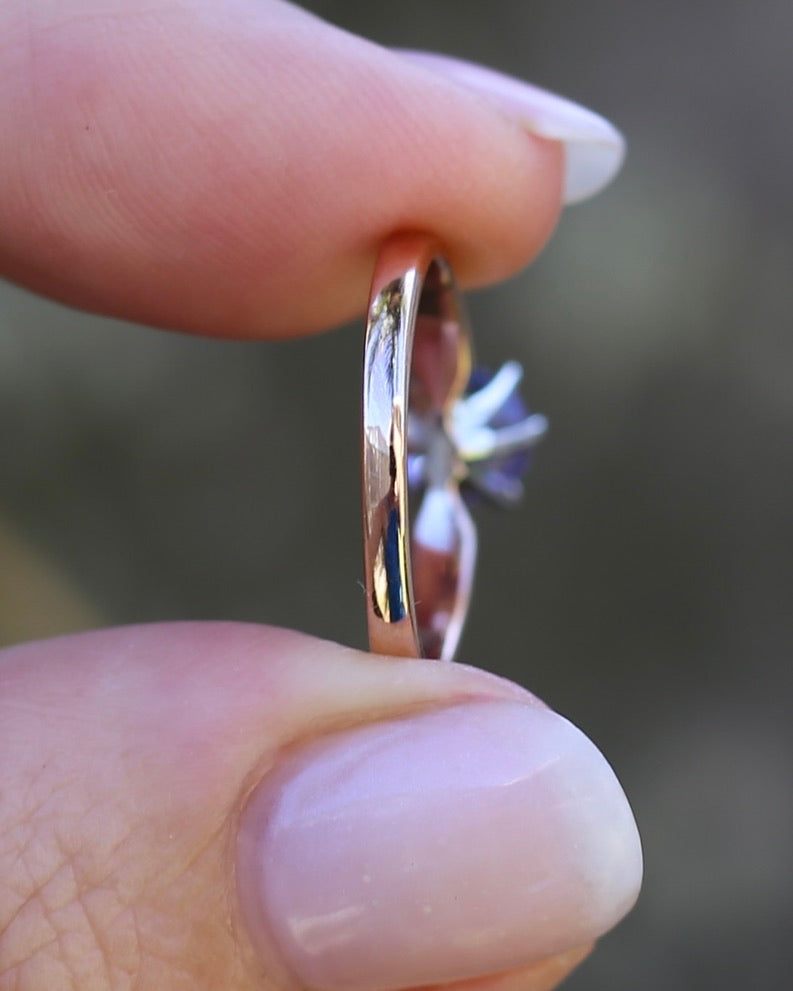 1ct Natural Tanzanite 6 Claw Ring, 10ct Rose and White Gold, size N1/2 or just under 7, 2.49g