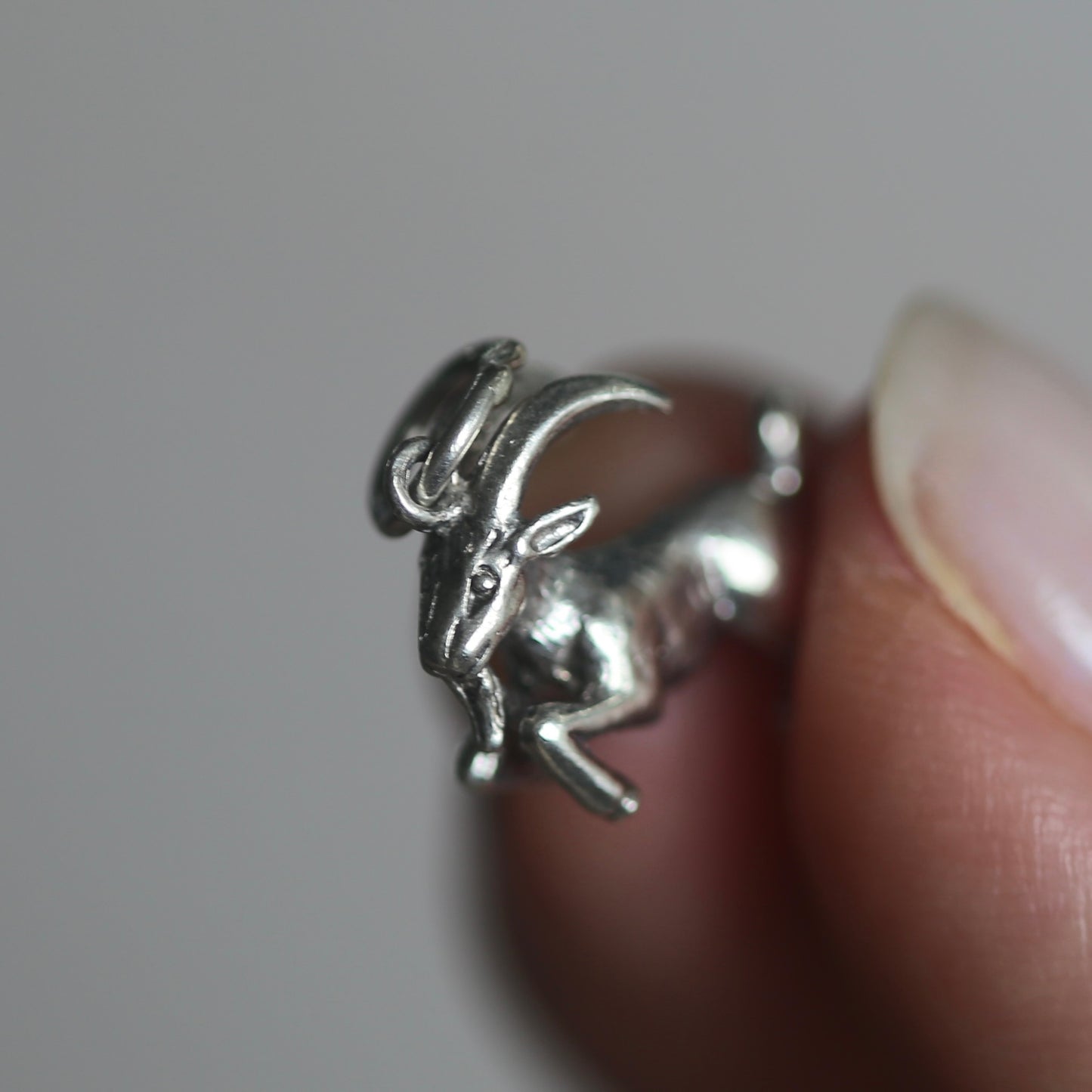 Farmyard Animals Silver Charms