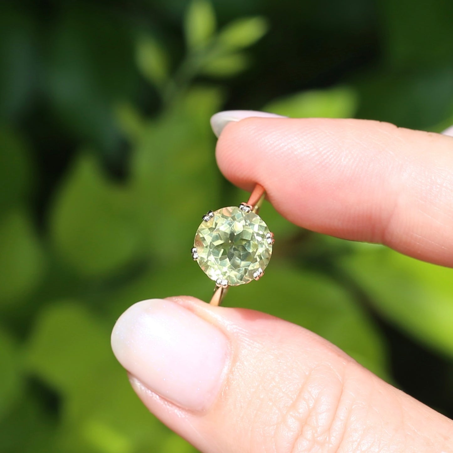 3.63ct Lemon Quartz in 6 Double Claw Basket, 9ct Yellow Gold, size L or 5.75