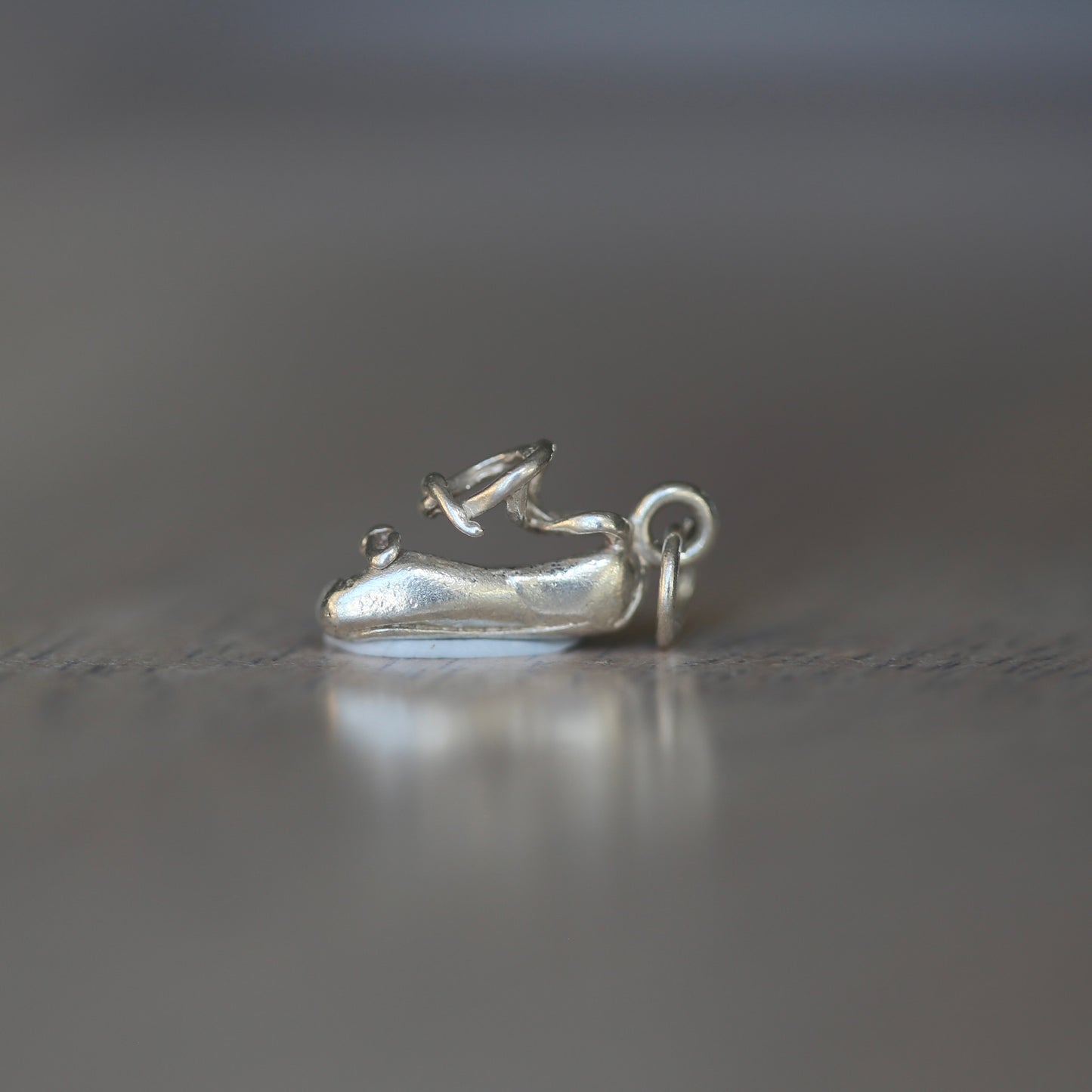 The Lost Shoe Collective (hello Cinderella) Silver Charms