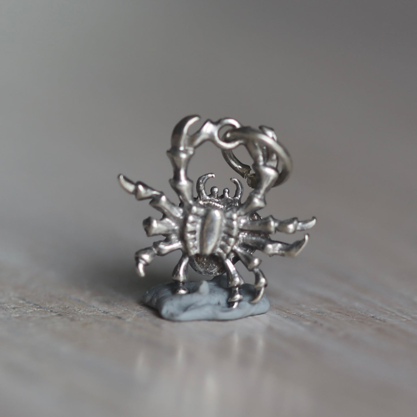 Crustacean Silver Charms