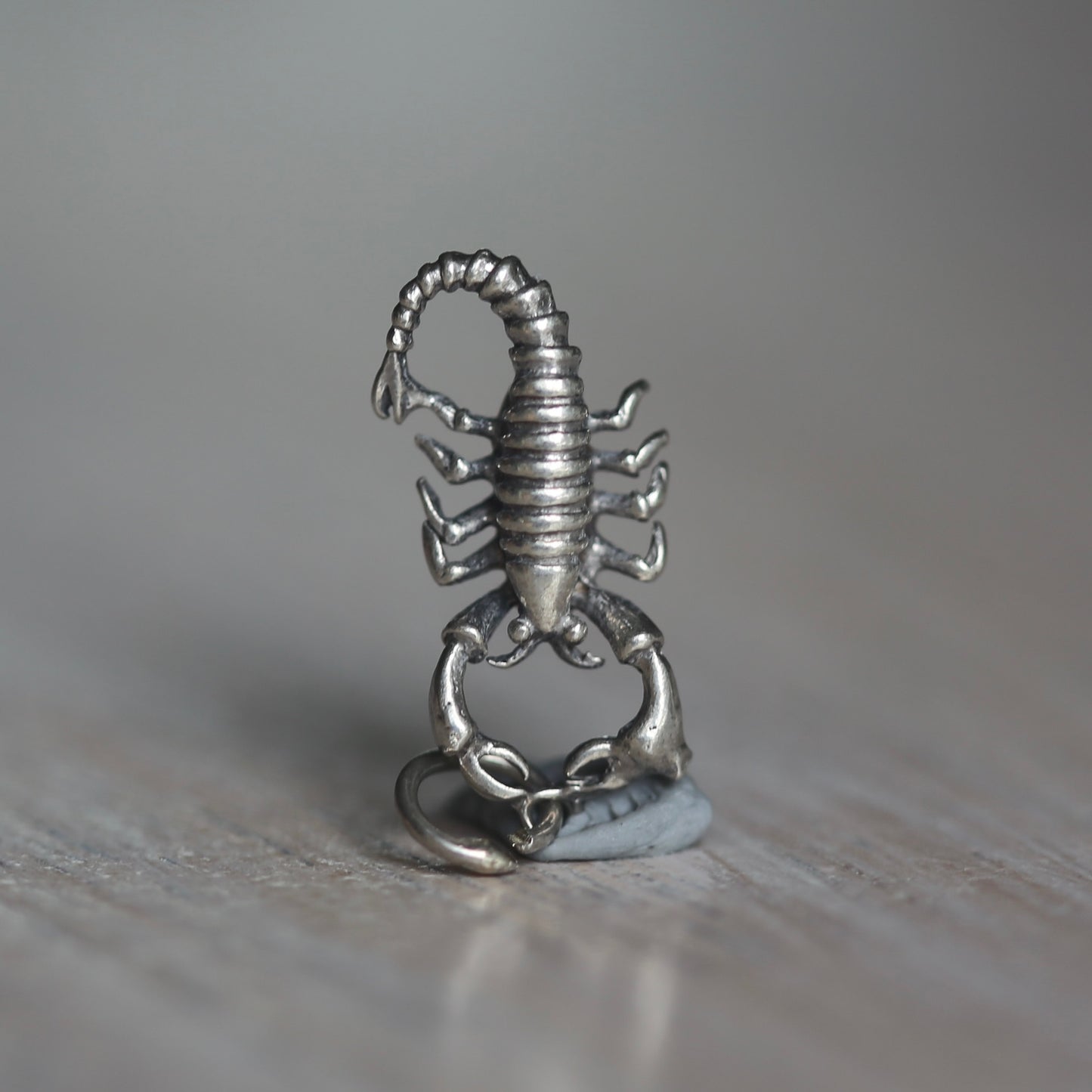 Crustacean Silver Charms