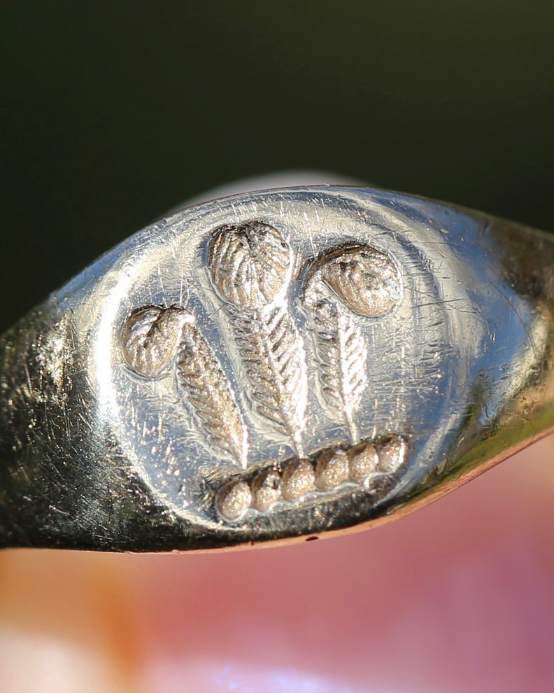 1984 Made Hand Carved Welsh Feather Signet Ring, 9ct Yellow Gold, size Q or just over 8, 2.45g