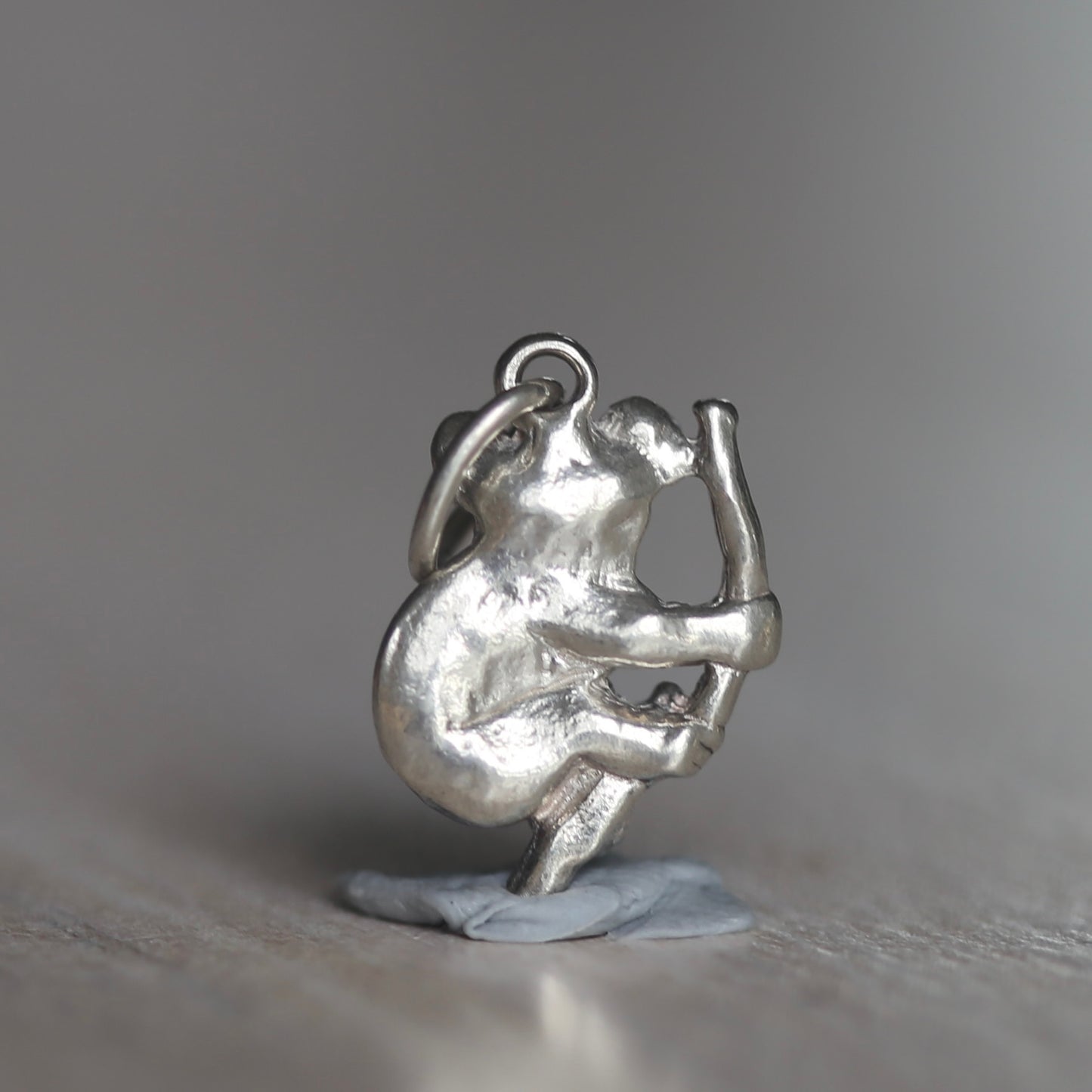 Australian Animal Silver Charms