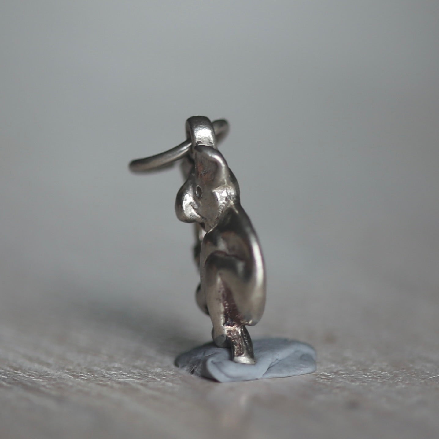 Australian Animal Silver Charms