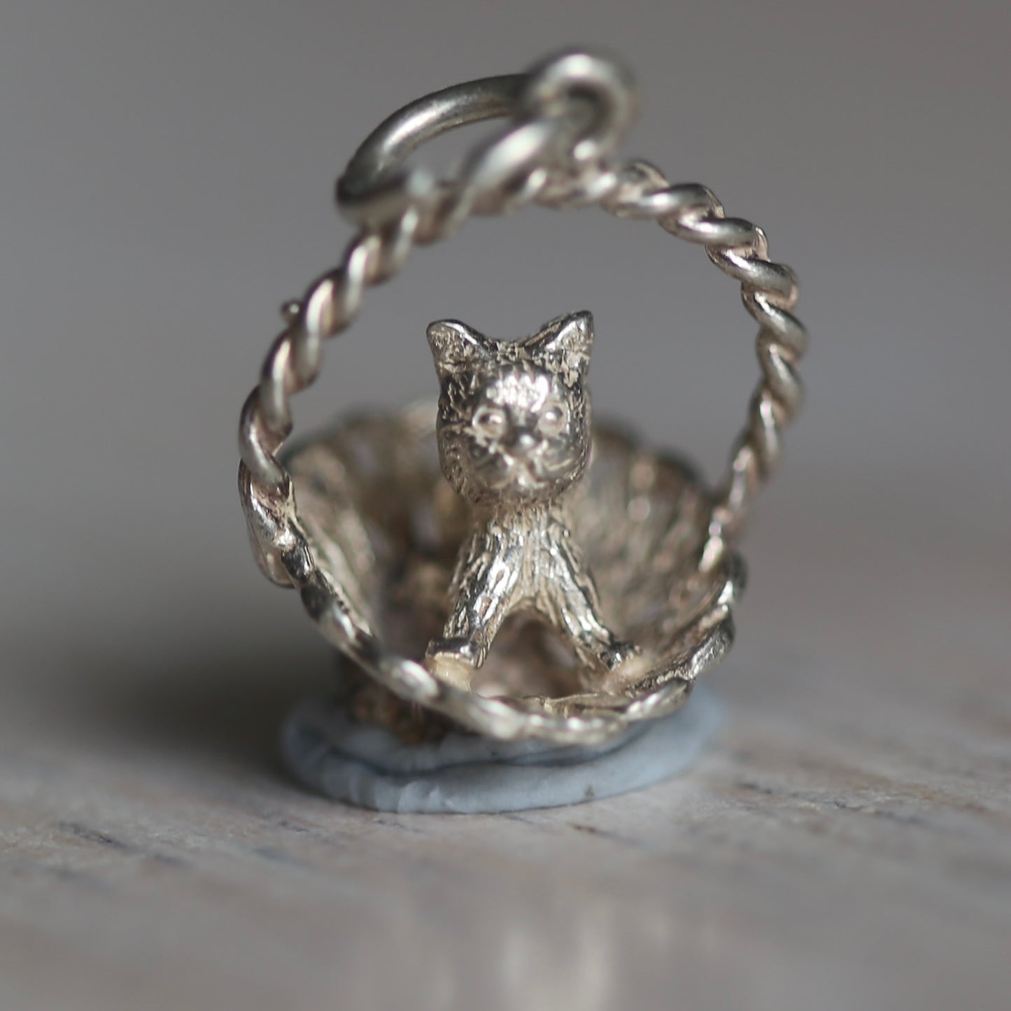 Dogs & Cats Silver Charms