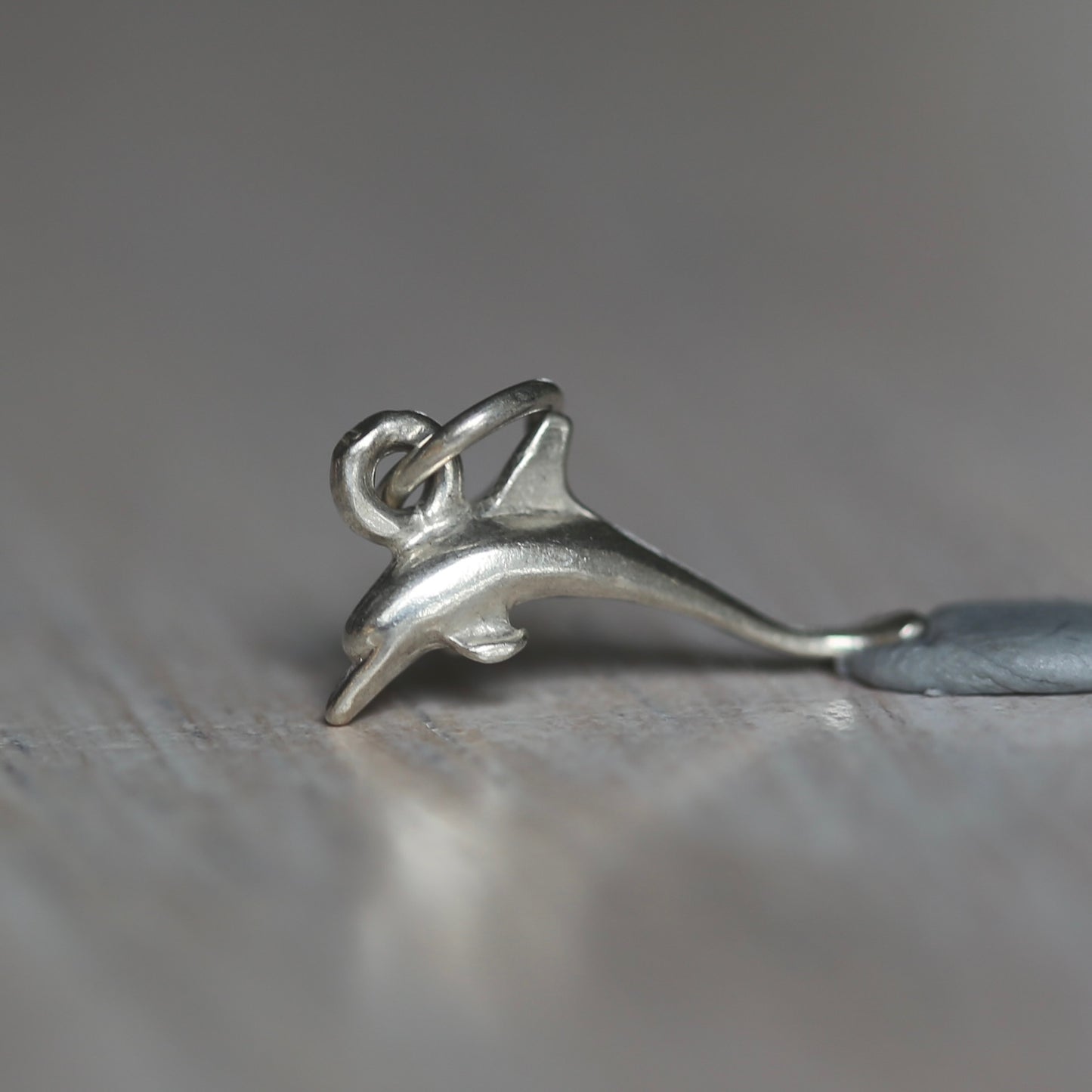 Fish and Marine Mammal Silver Charms