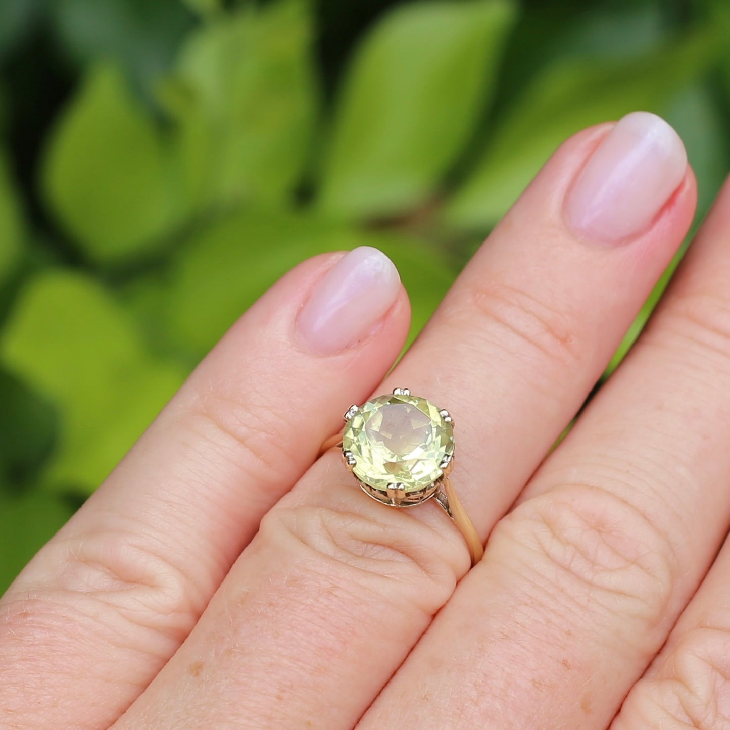 3.63ct Lemon Quartz in 6 Double Claw Basket, 9ct Yellow Gold, size L or 5.75