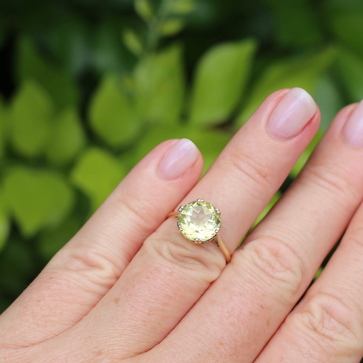 3.63ct Lemon Quartz in 6 Double Claw Basket, 9ct Yellow Gold, size L or 5.75