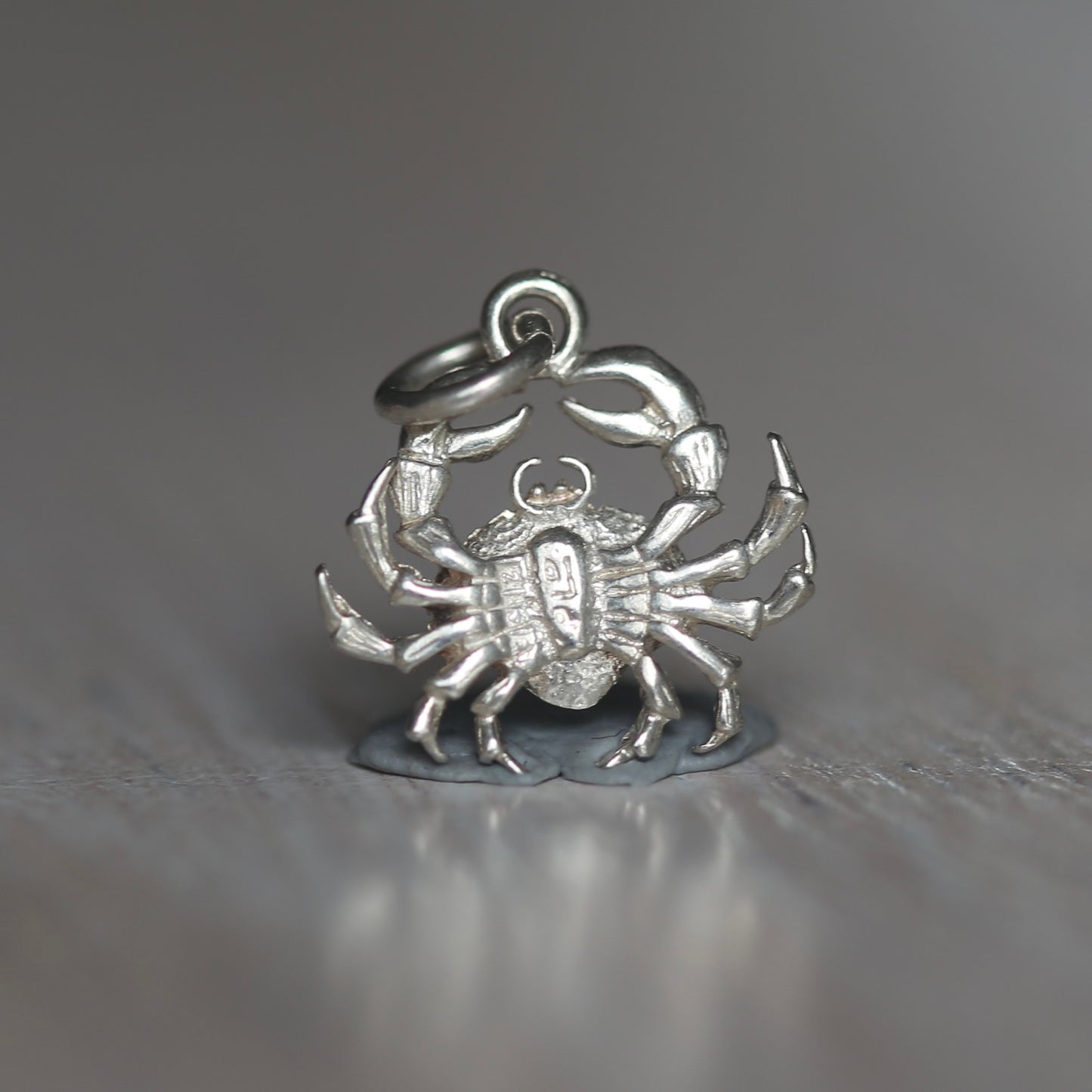 Crustacean Silver Charms