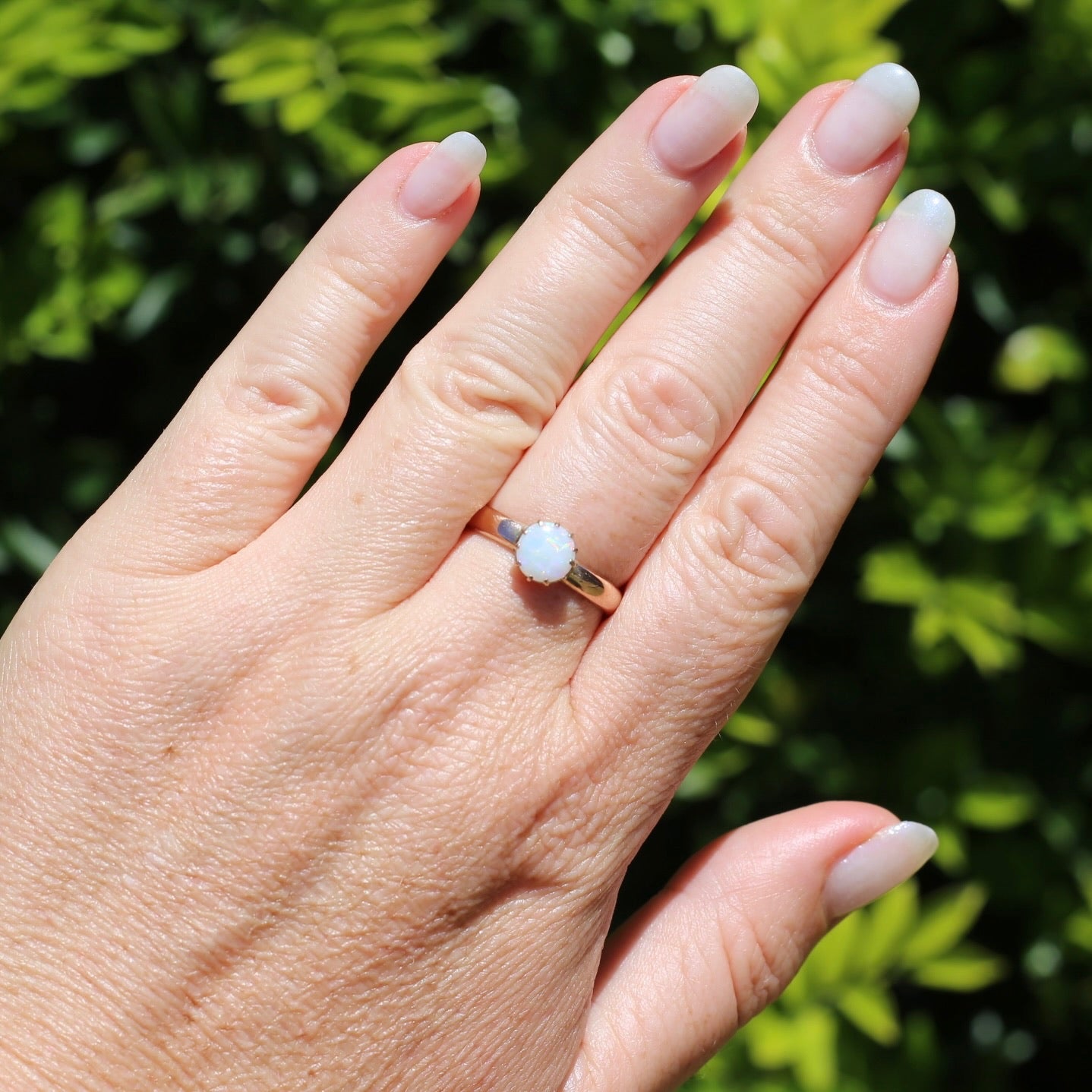 Early Australian 11 Multi Claw White Round Opal Ring, 9ct Old Rosey Gold, size 10 or U