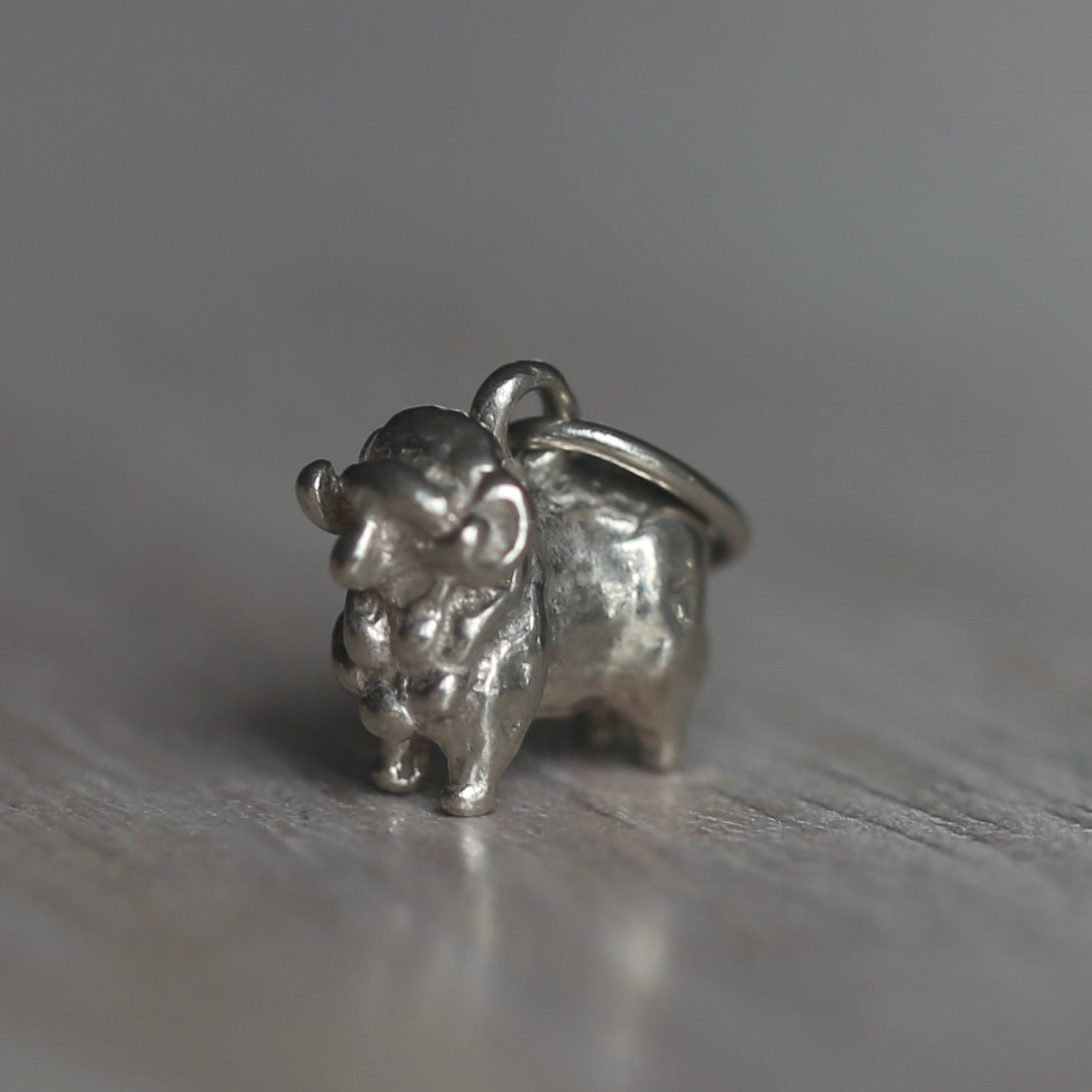 Farmyard Animals Silver Charms