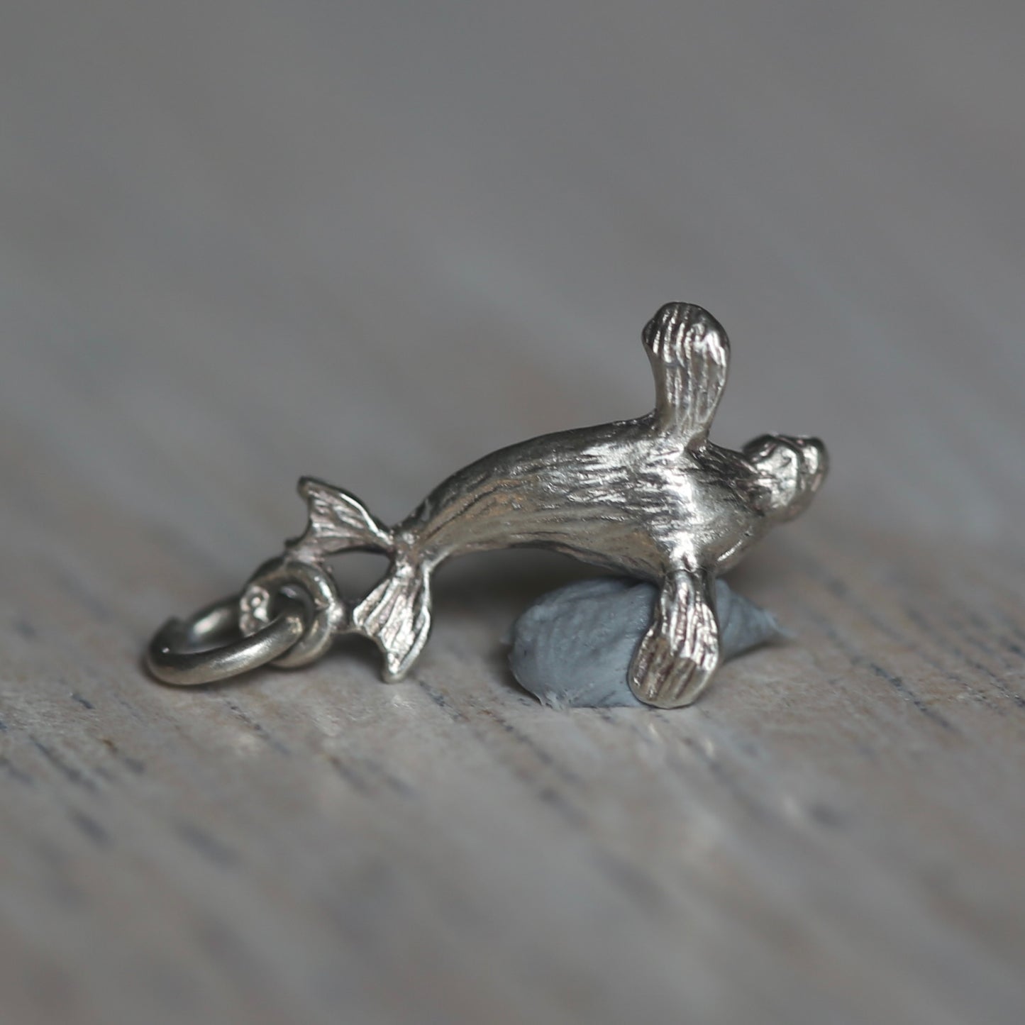 Fish and Marine Mammal Silver Charms