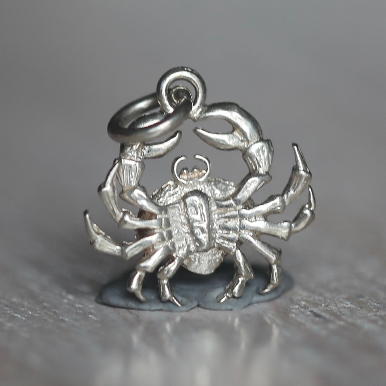 Crustacean Silver Charms