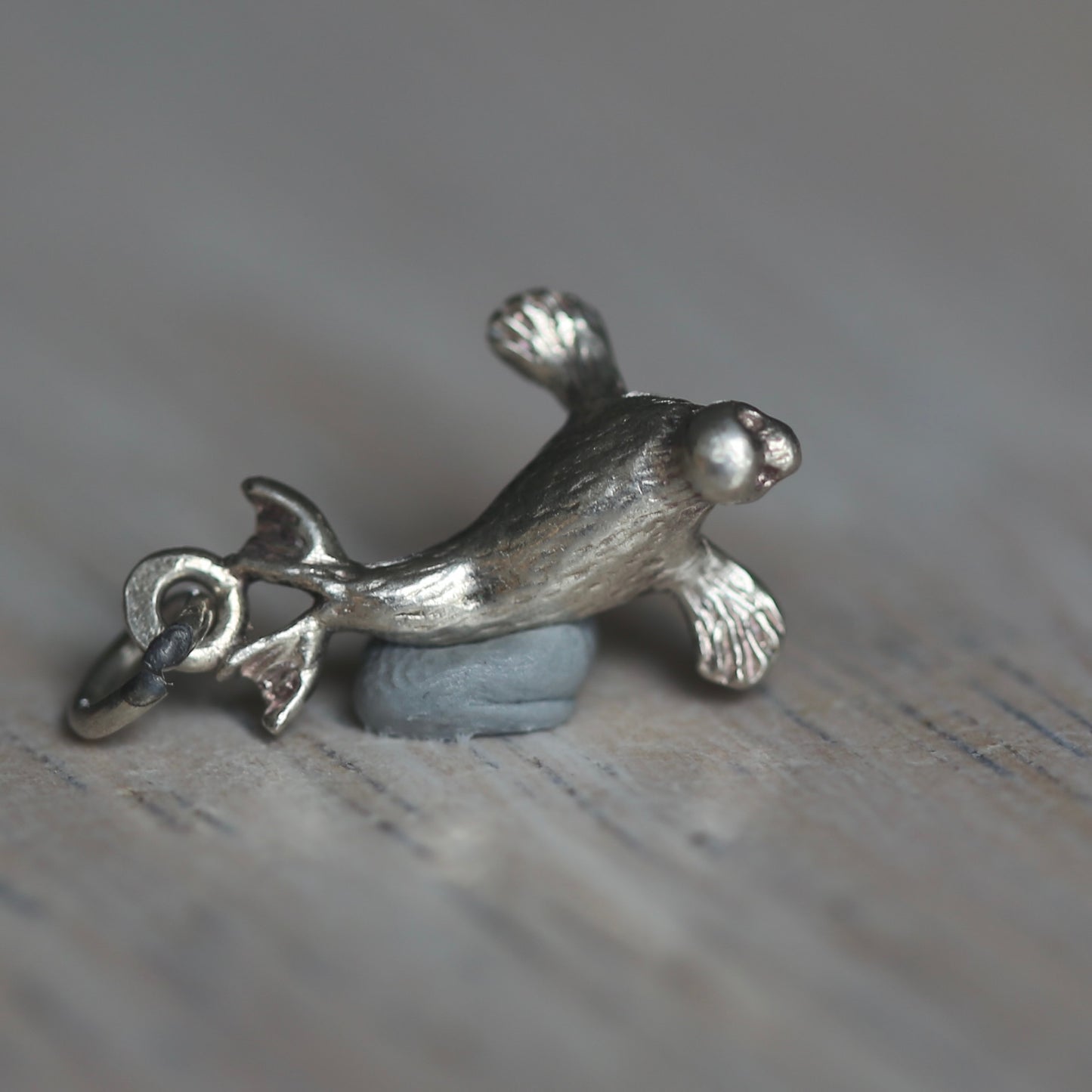 Fish and Marine Mammal Silver Charms