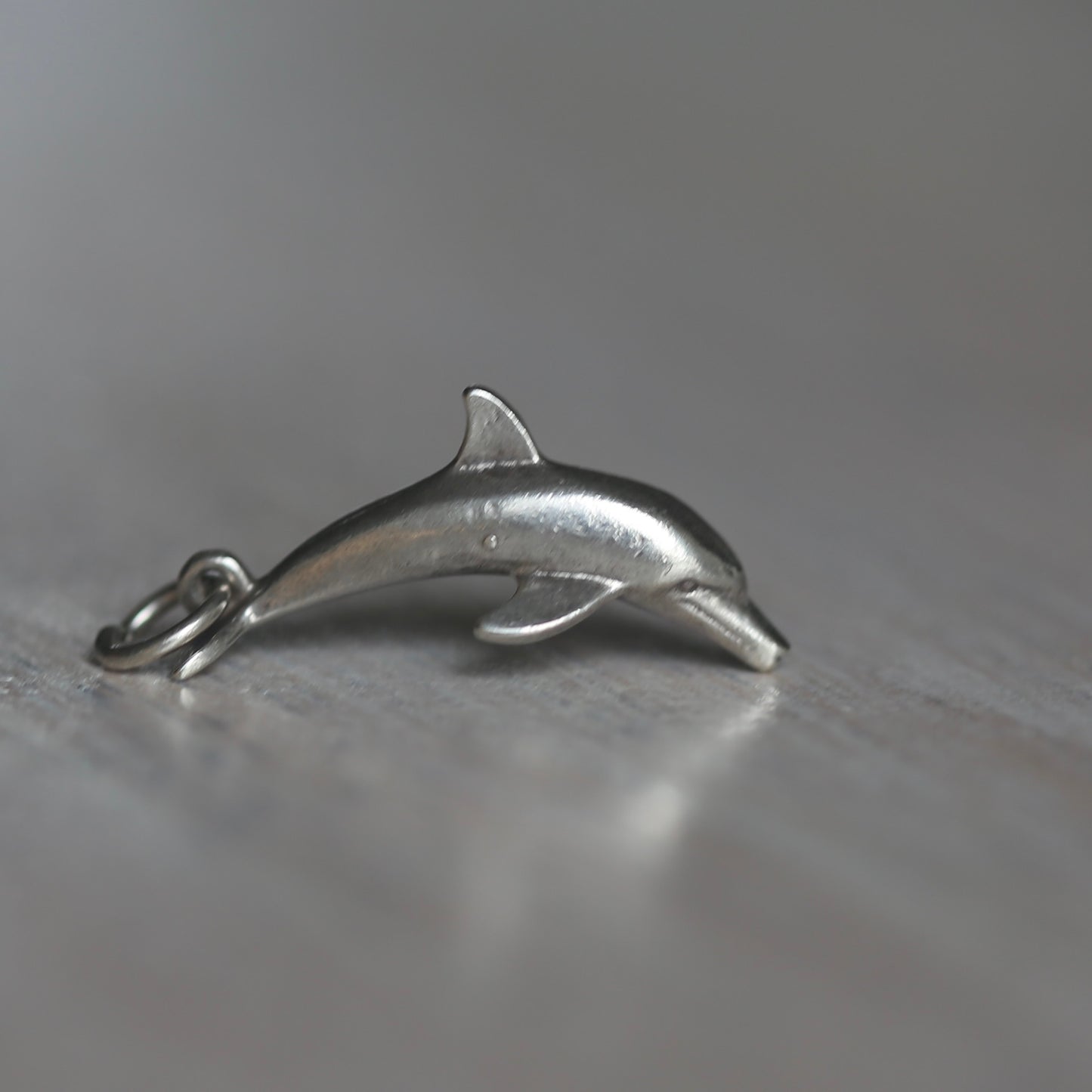 Fish and Marine Mammal Silver Charms