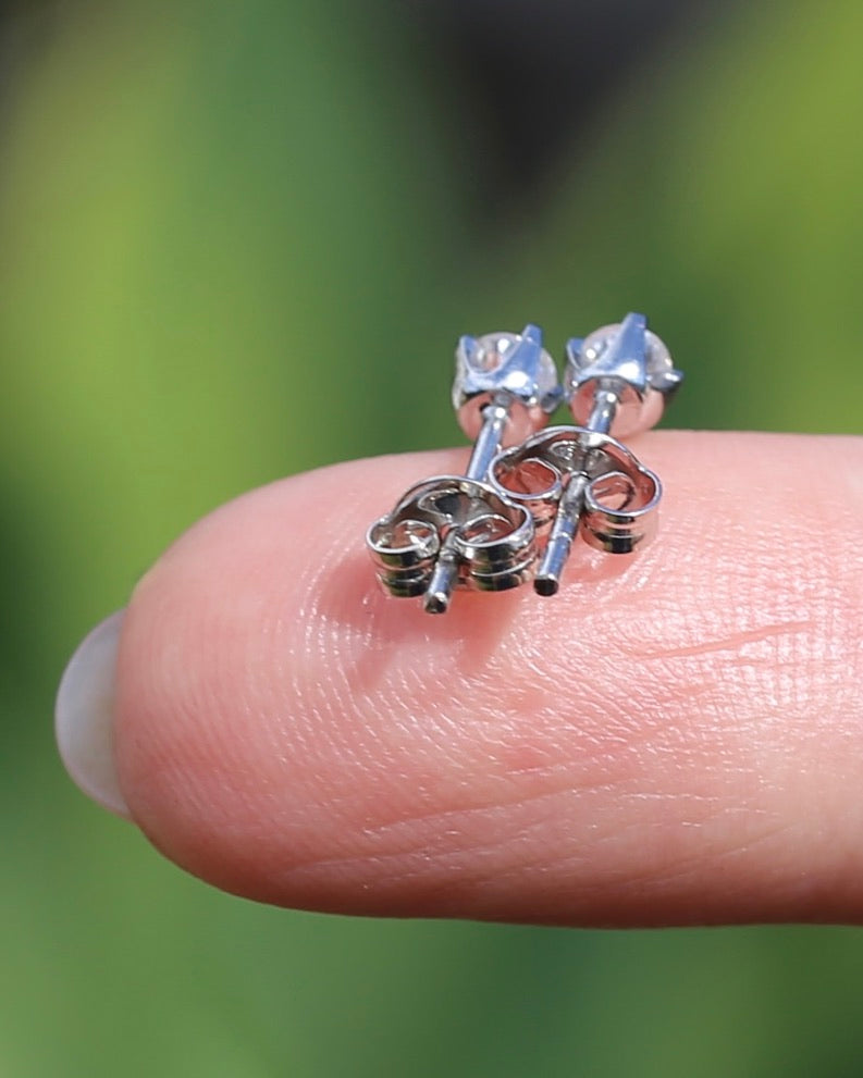 0.25ct TDW Diamond 4 Claw Studs, 9ct White Gold, 0.77g