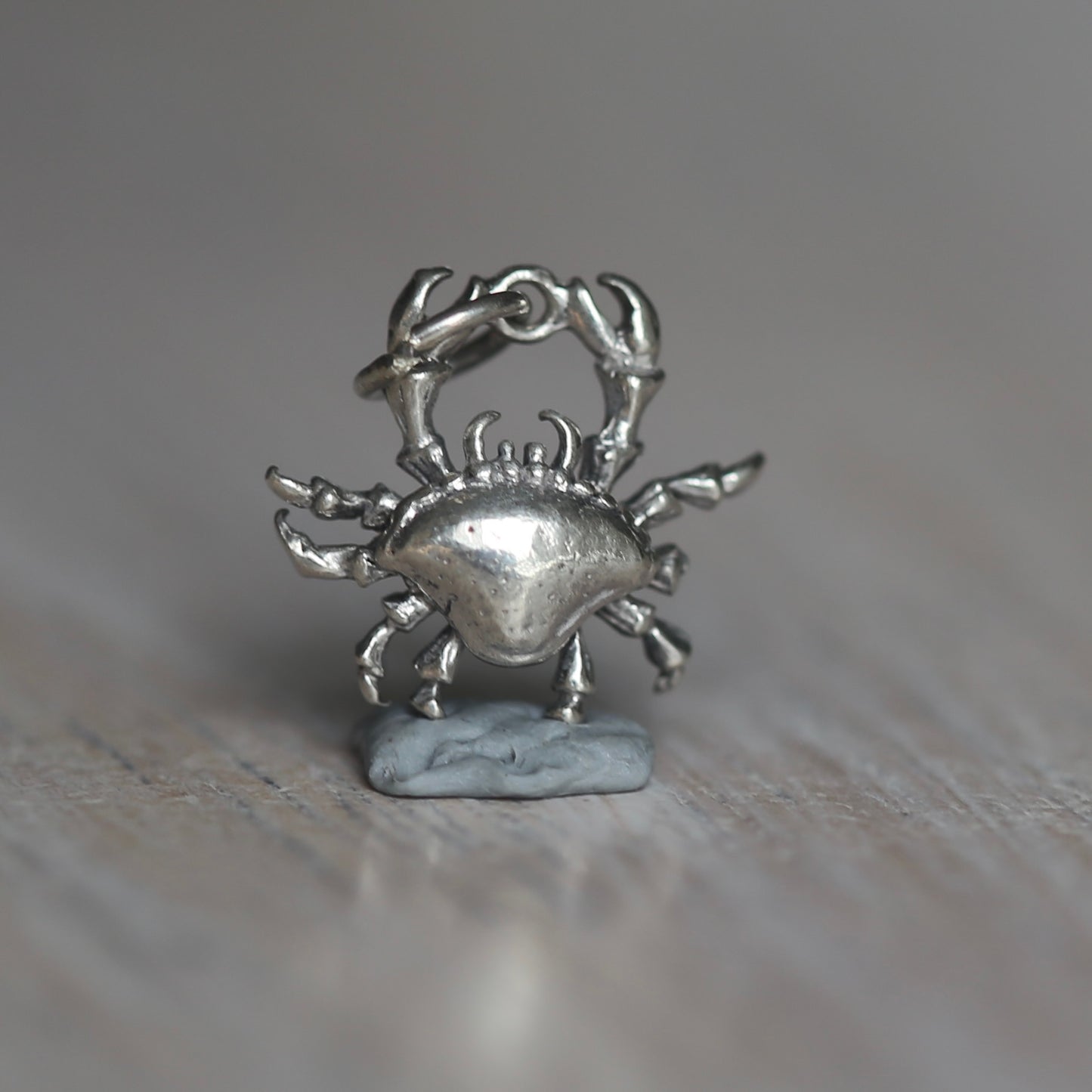 Crustacean Silver Charms