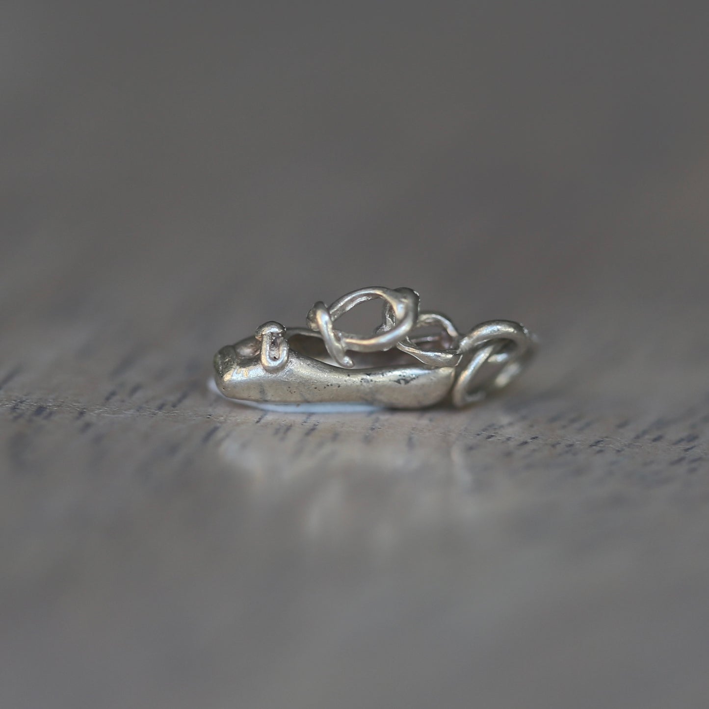 The Lost Shoe Collective (hello Cinderella) Silver Charms