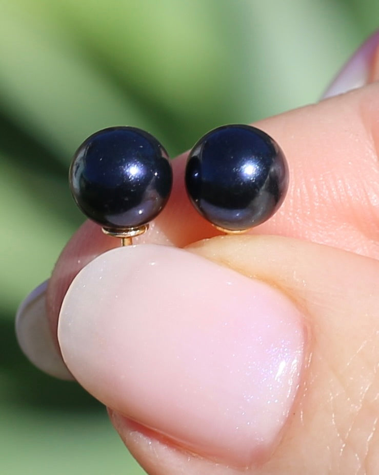 7mm Dyed Freshwater Pearl Studs, 14ct Yellow Gold, 1.38g