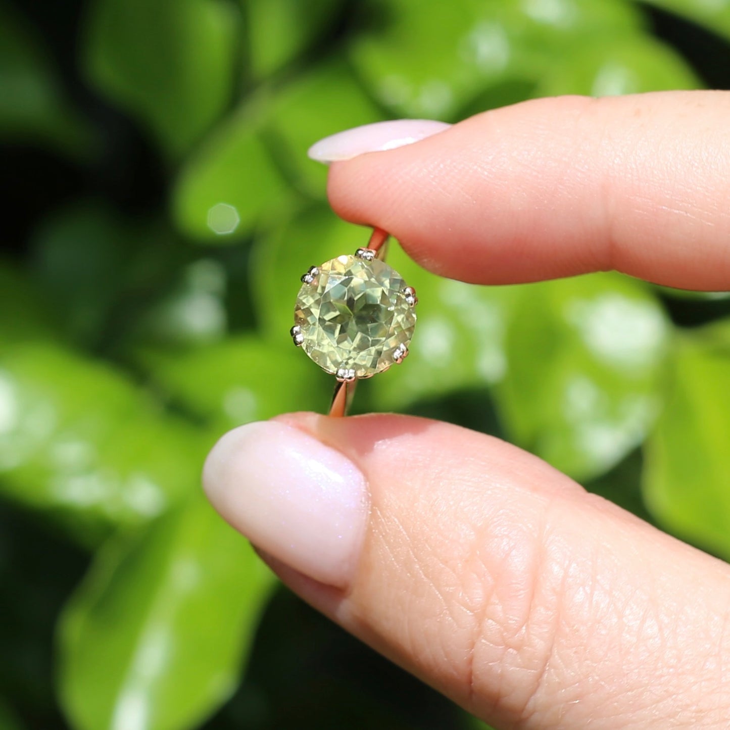 3.63ct Lemon Quartz in 6 Double Claw Basket, 9ct Yellow Gold, size L or 5.75