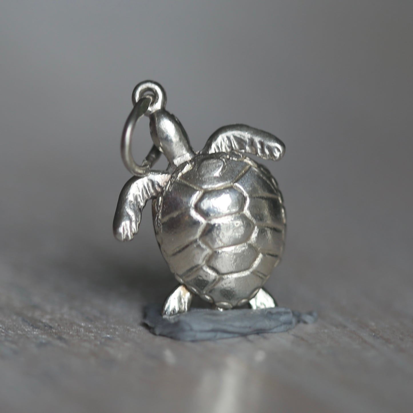 Reptile and Amphibian Silver Charms