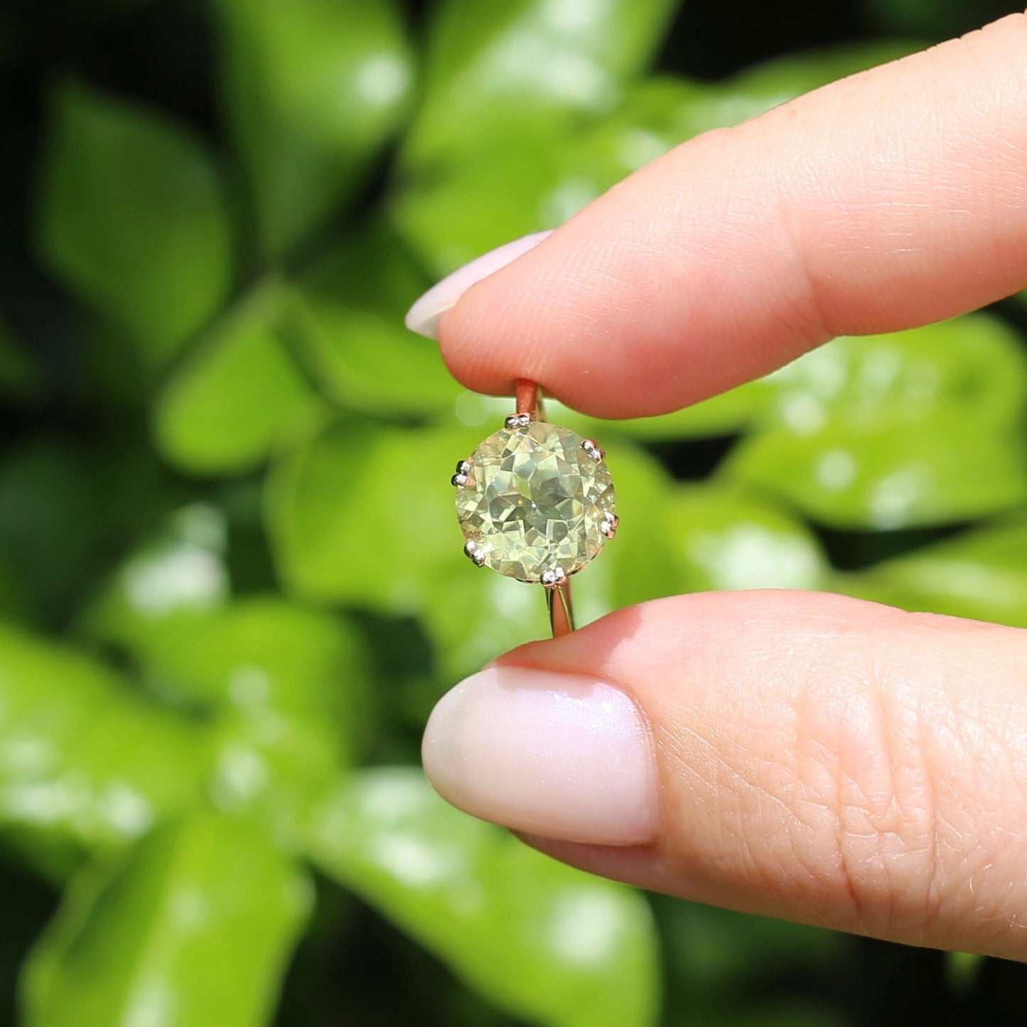 3.63ct Lemon Quartz in 6 Double Claw Basket, 9ct Yellow Gold, size L or 5.75