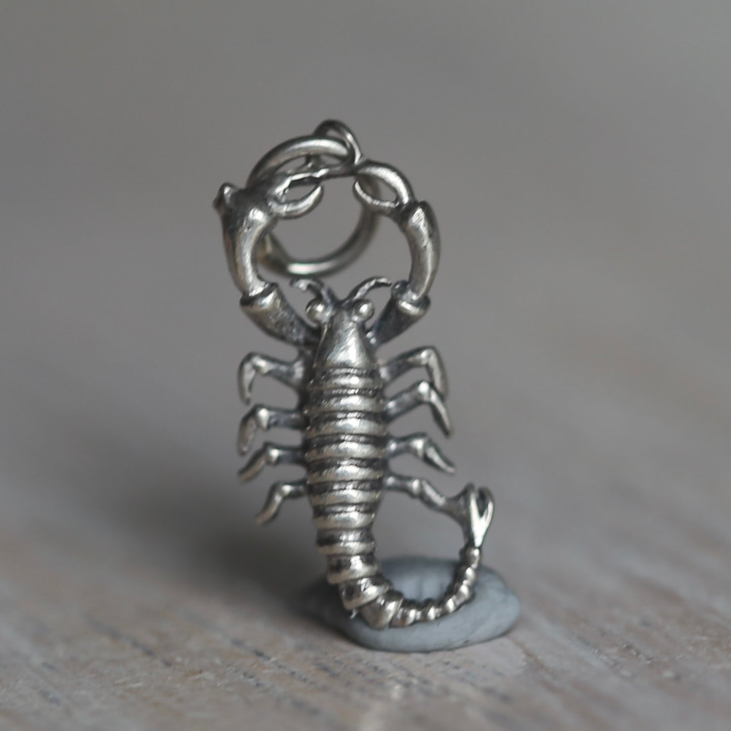 Crustacean Silver Charms