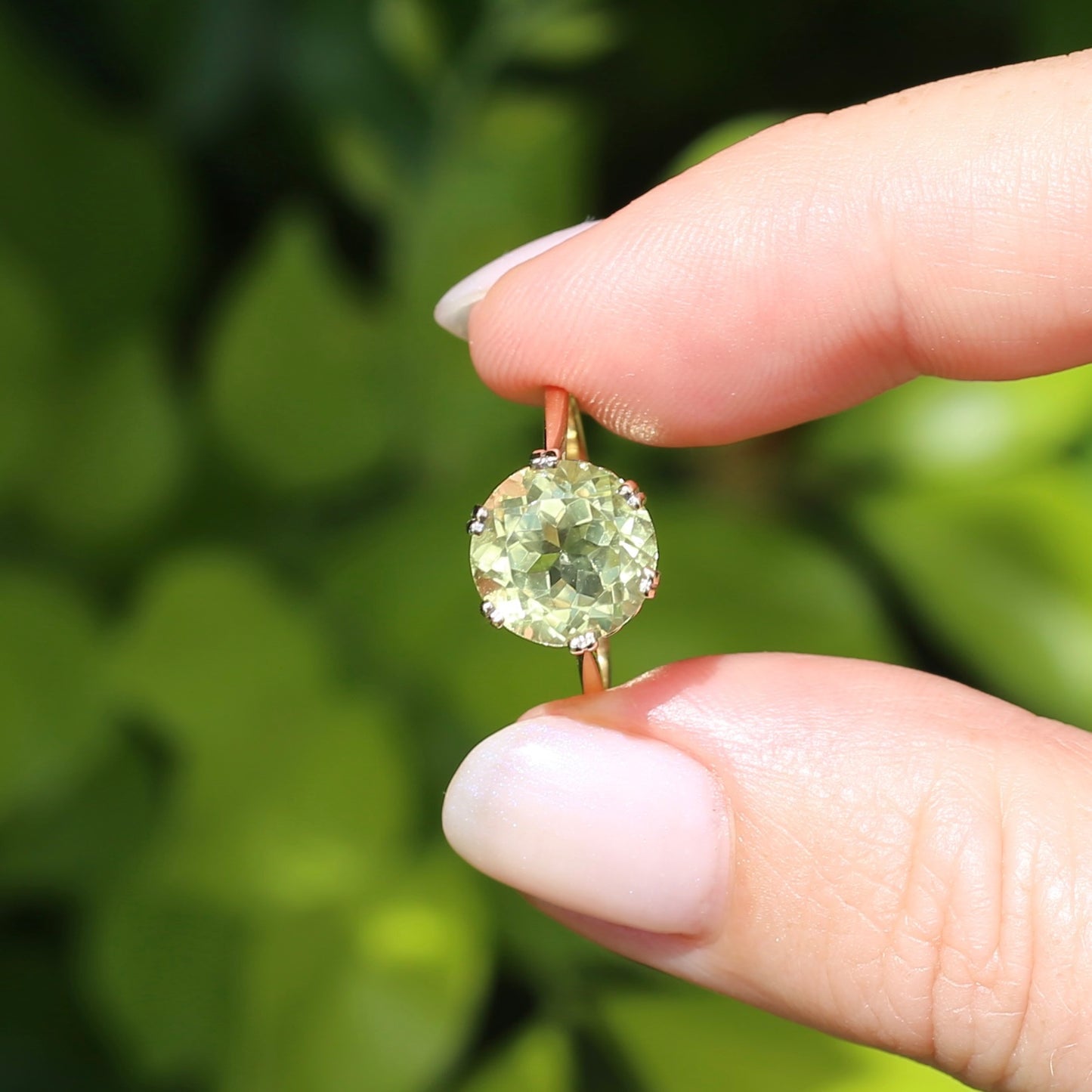 3.63ct Lemon Quartz in 6 Double Claw Basket, 9ct Yellow Gold, size L or 5.75