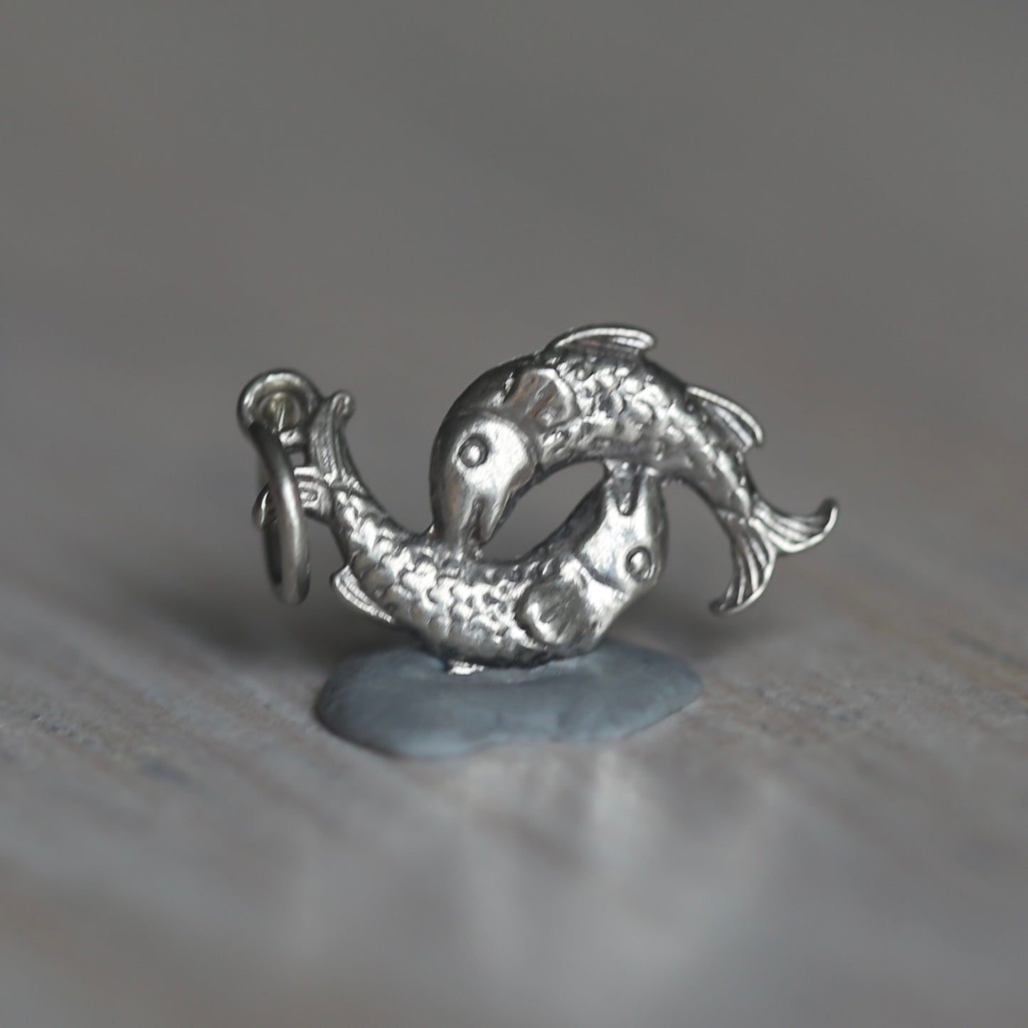 Fish and Marine Mammal Silver Charms