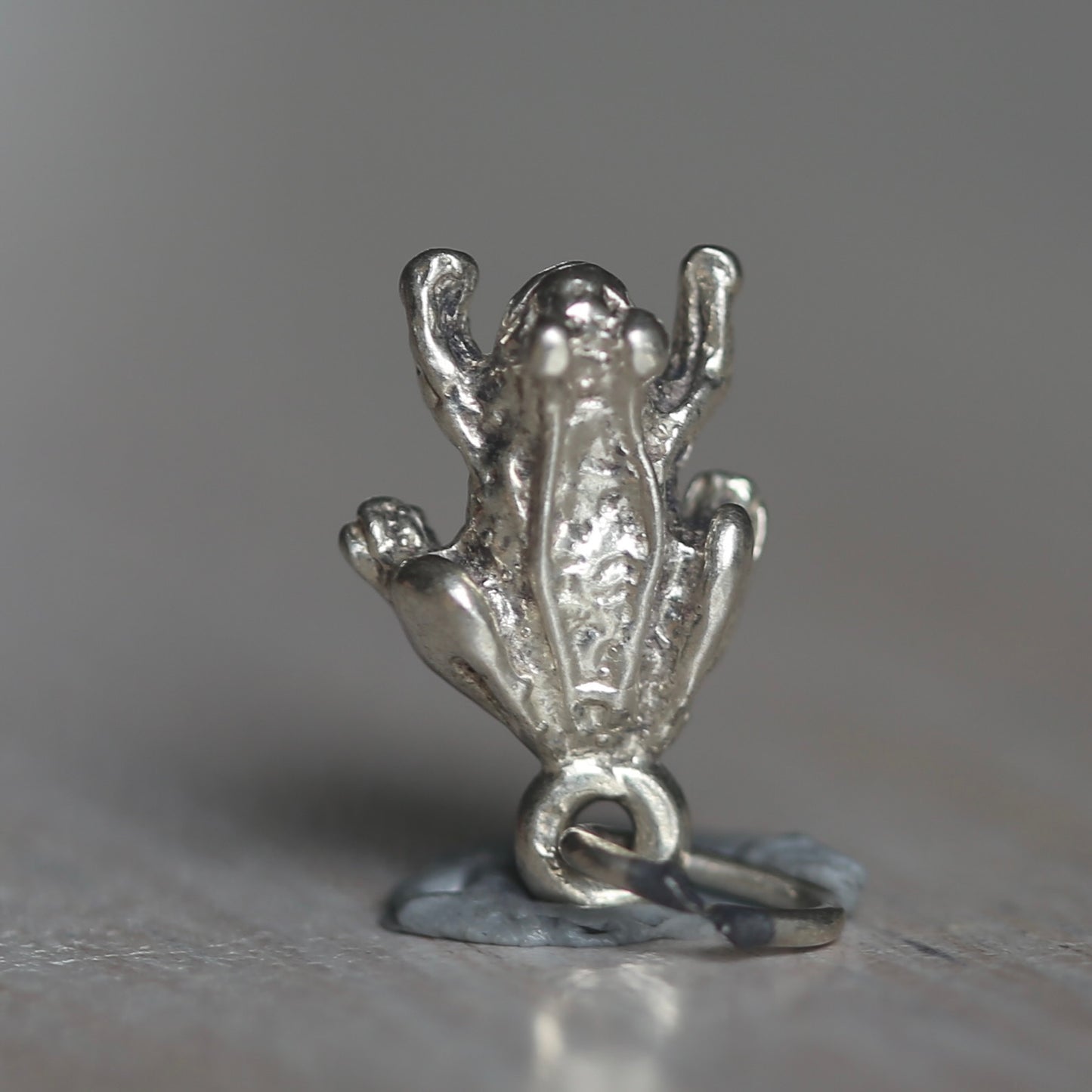 Reptile and Amphibian Silver Charms