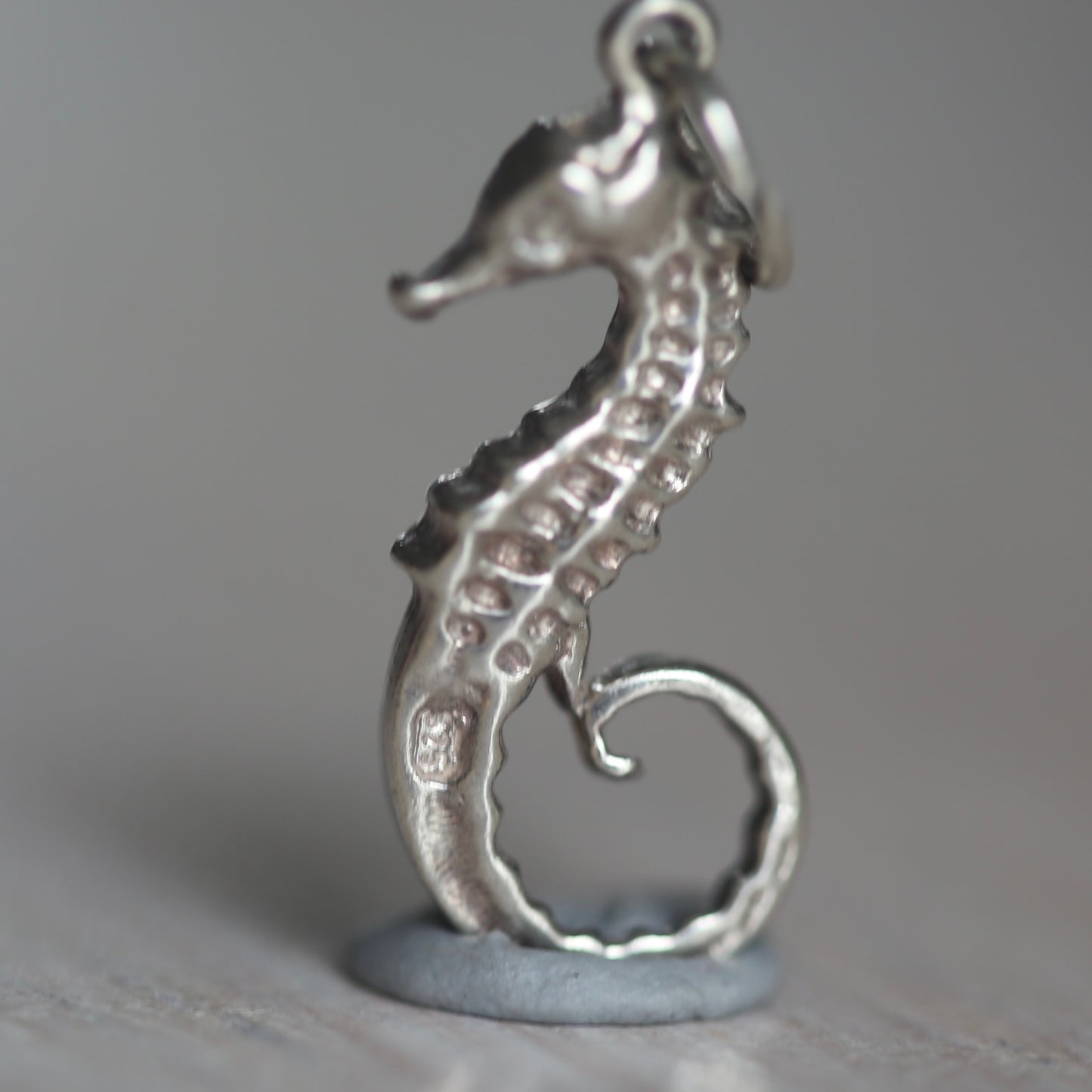 Fish and Marine Mammal Silver Charms