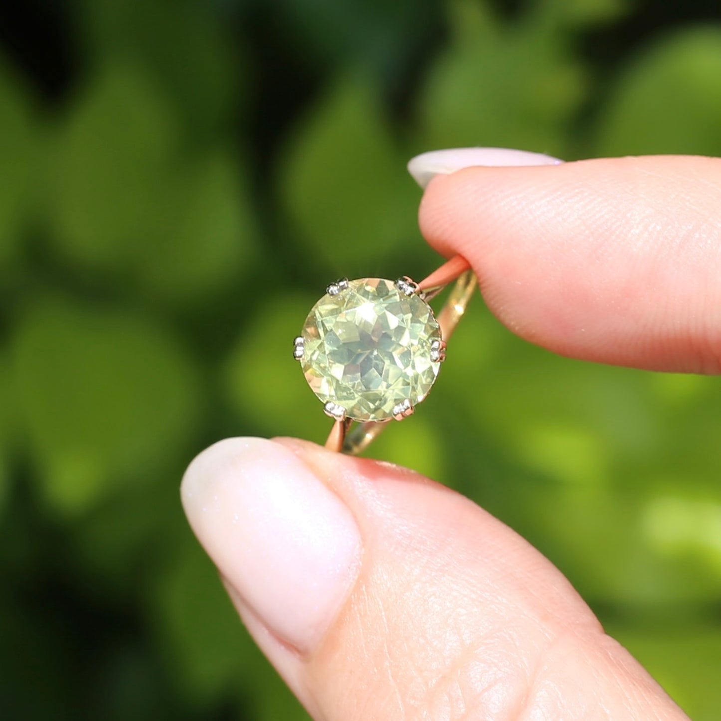 3.63ct Lemon Quartz in 6 Double Claw Basket, 9ct Yellow Gold, size L or 5.75