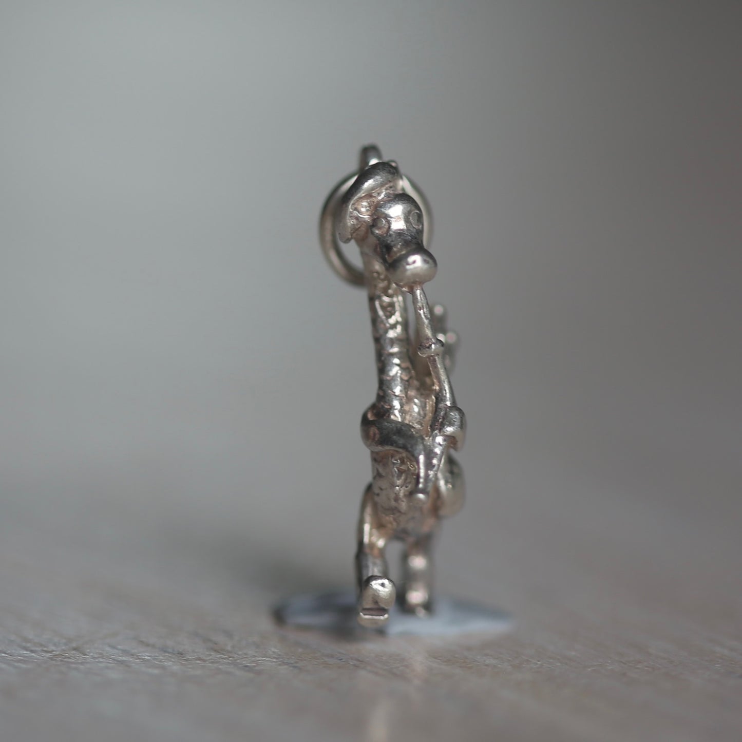 Whimsical or Mythical Creature Silver Charms