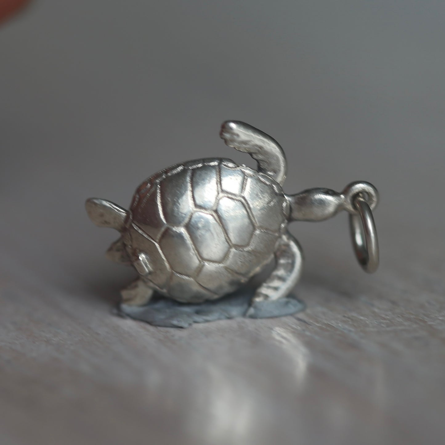 Reptile and Amphibian Silver Charms