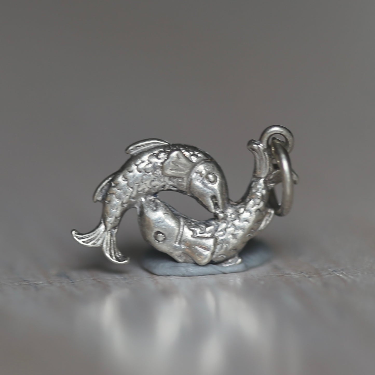 Fish and Marine Mammal Silver Charms