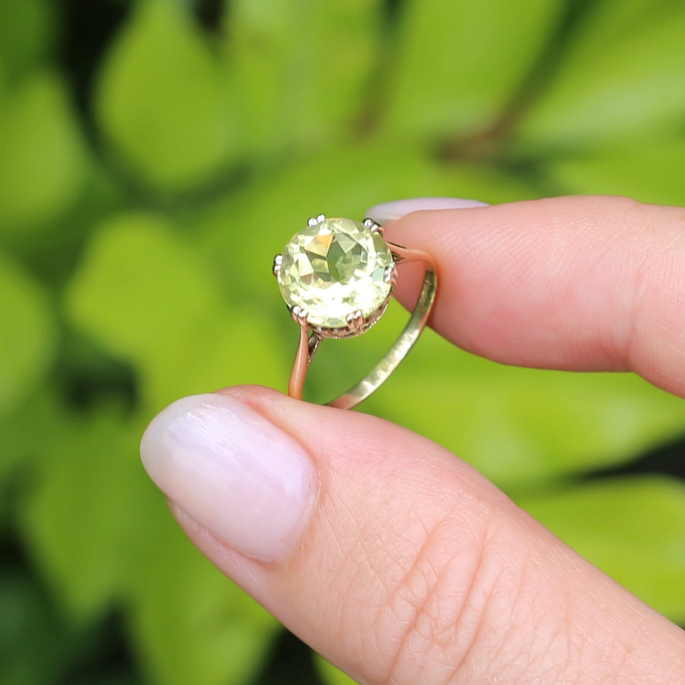 3.63ct Lemon Quartz in 6 Double Claw Basket, 9ct Yellow Gold, size L or 5.75