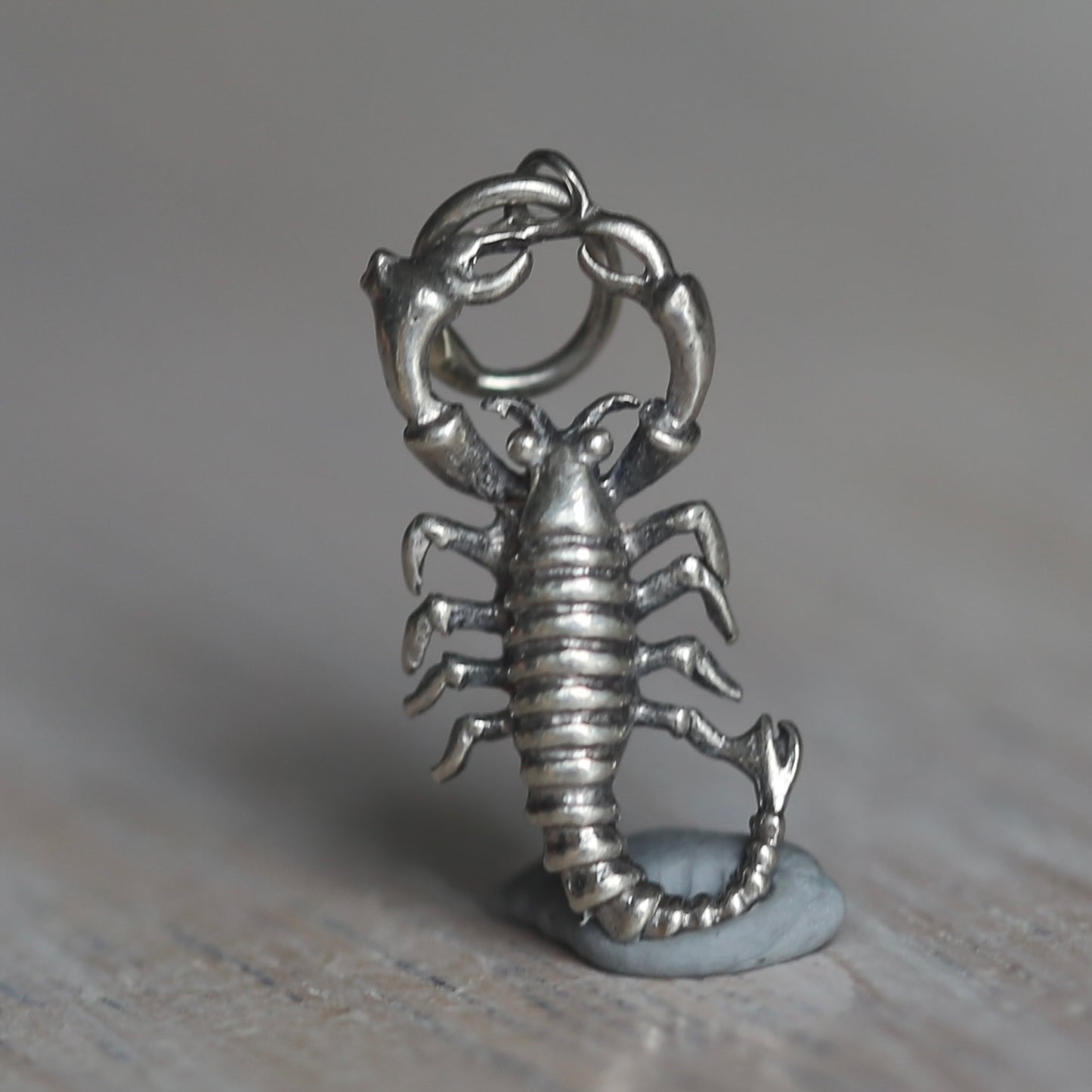 Crustacean Silver Charms