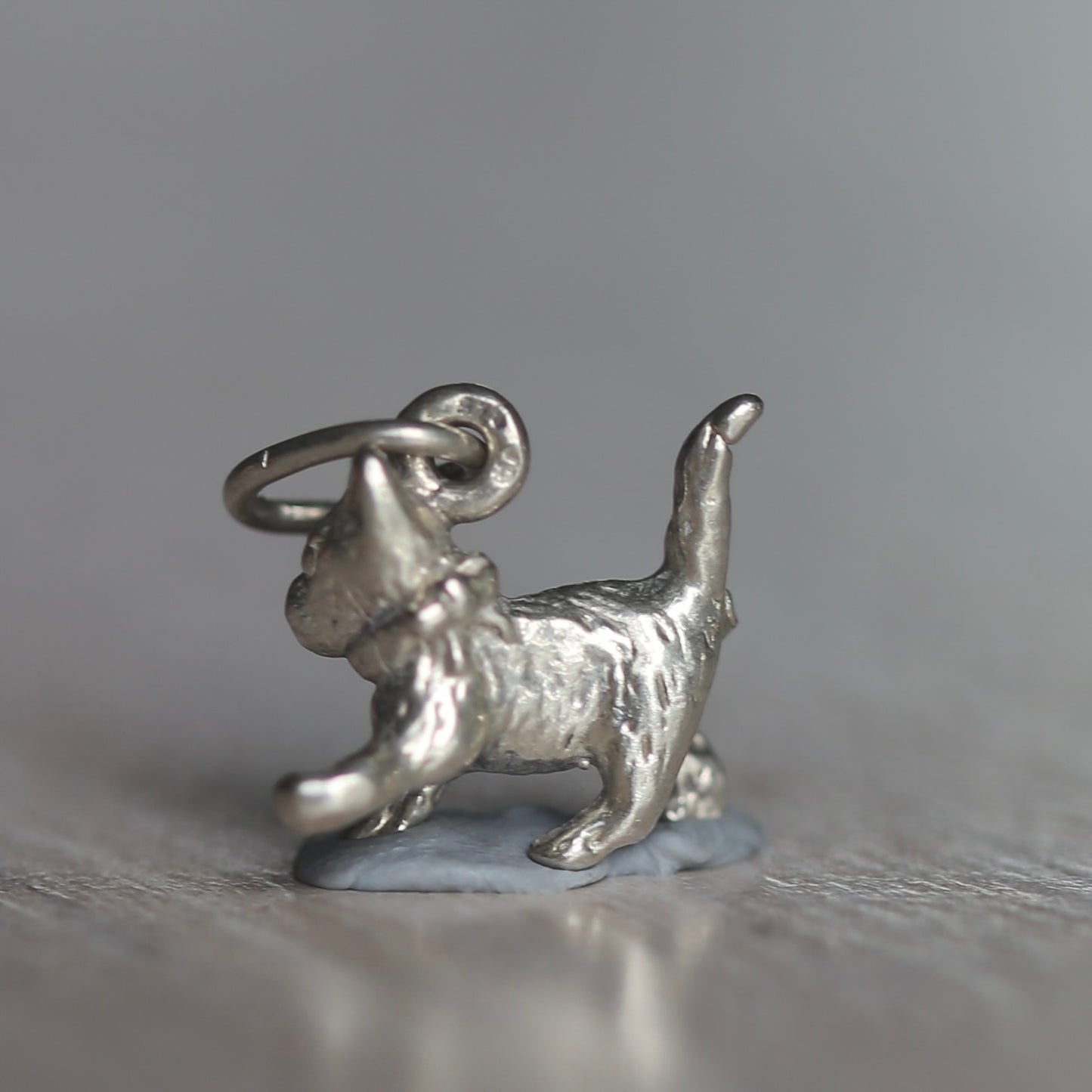 Dogs & Cats Silver Charms