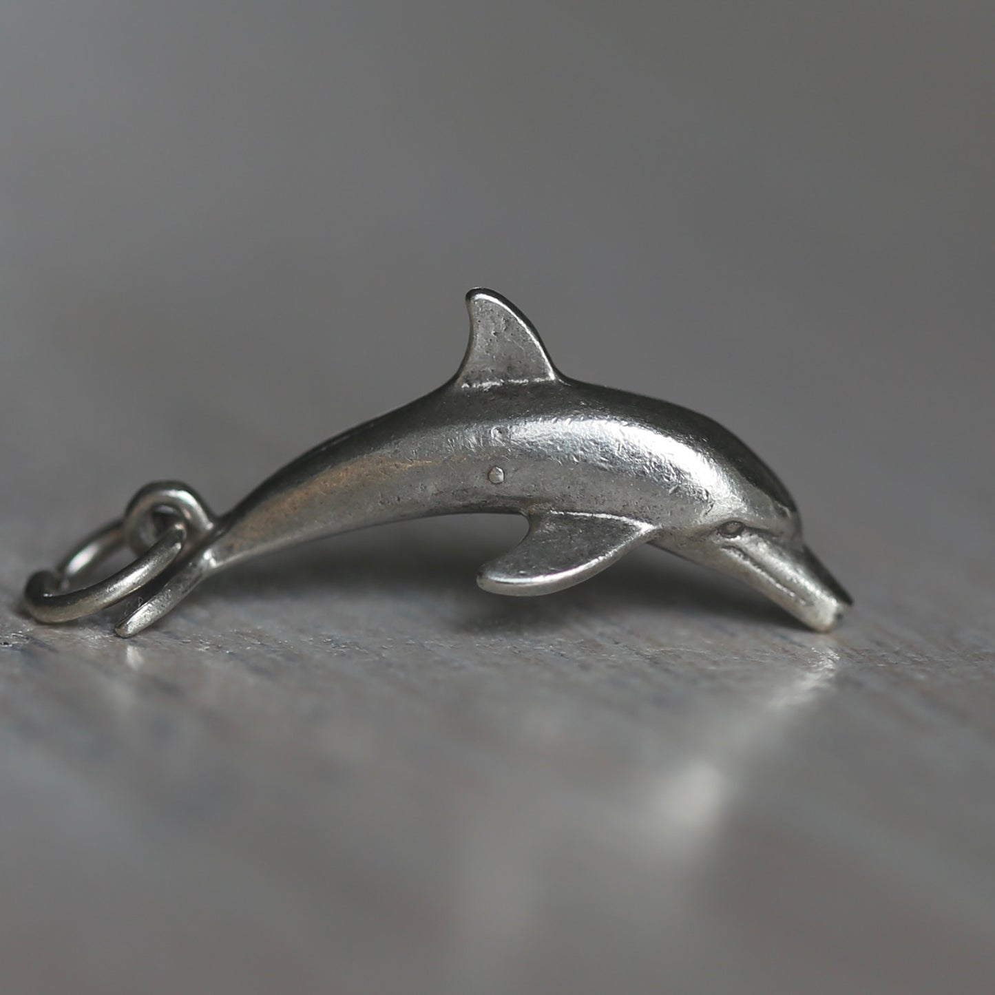 Fish and Marine Mammal Silver Charms