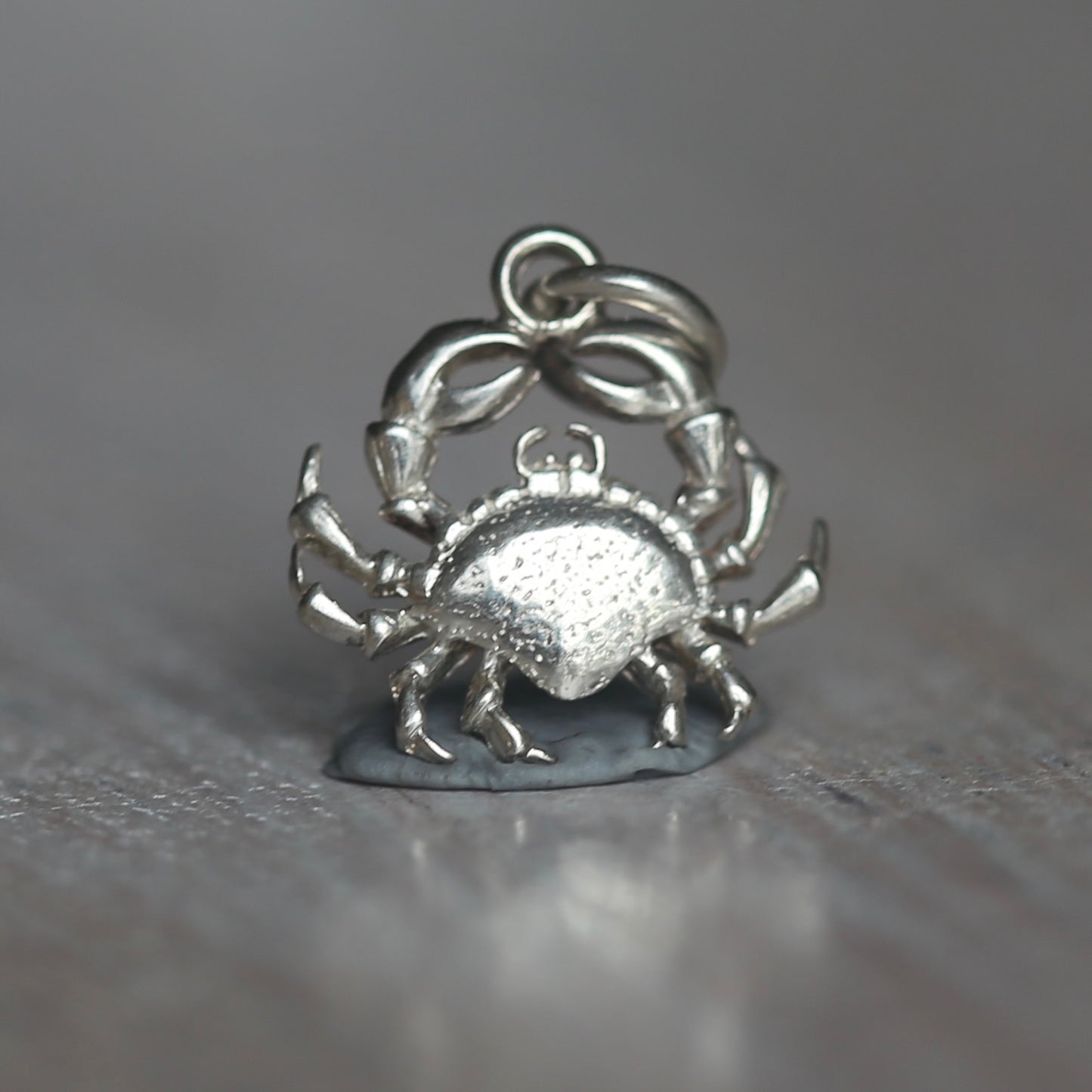 Crustacean Silver Charms