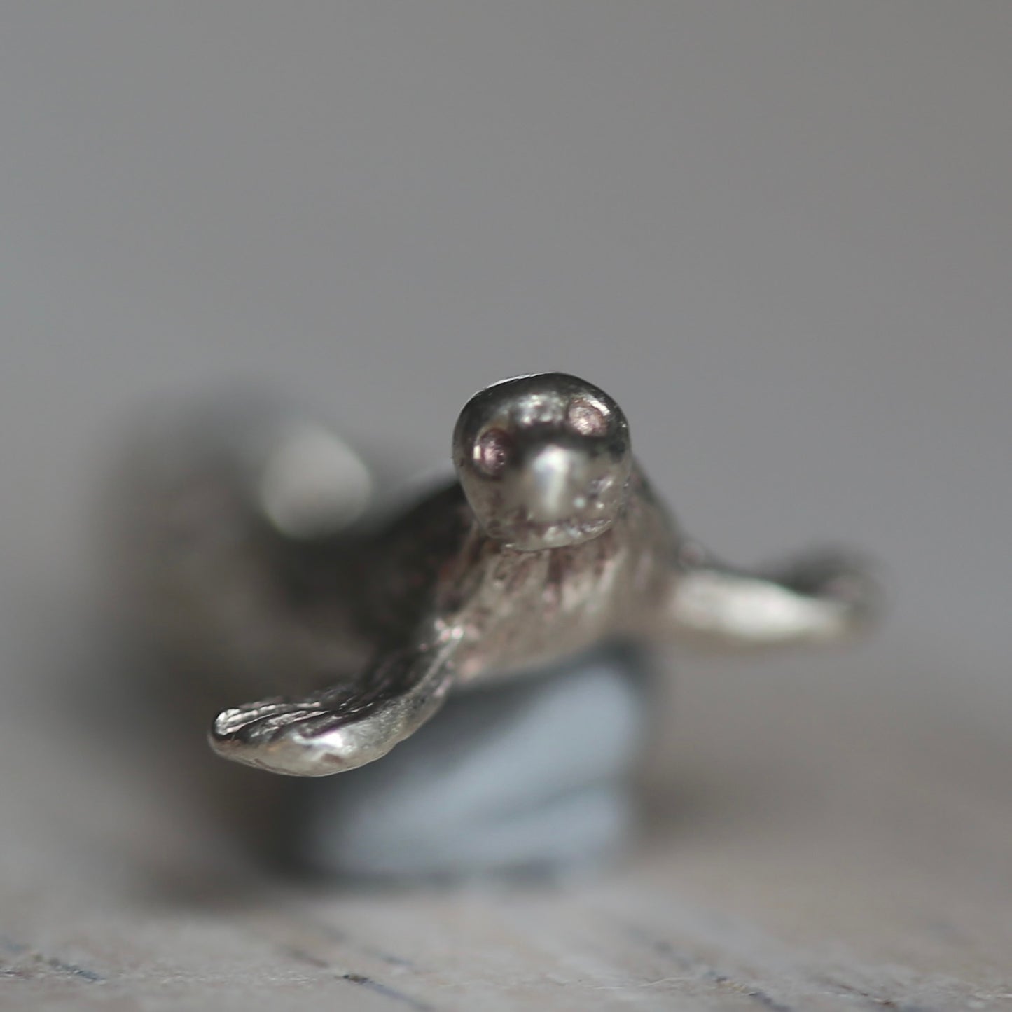 Fish and Marine Mammal Silver Charms