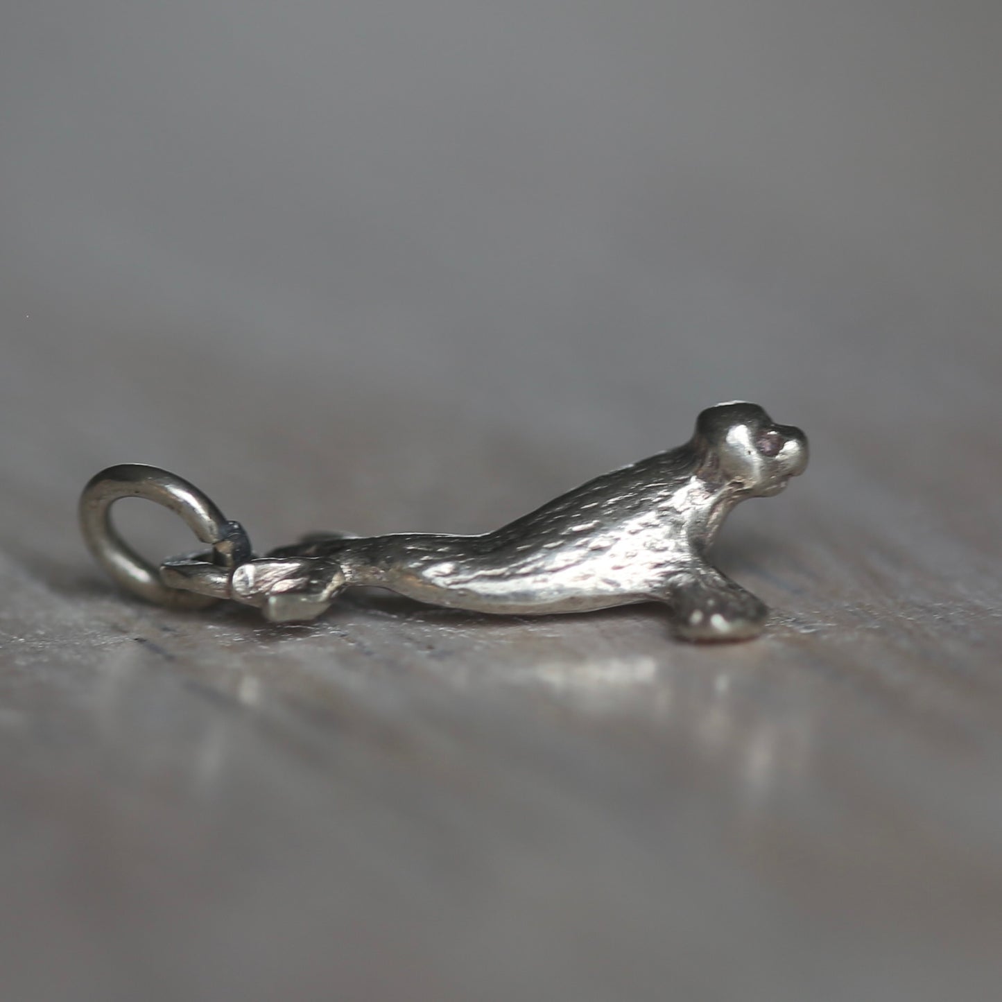 Fish and Marine Mammal Silver Charms