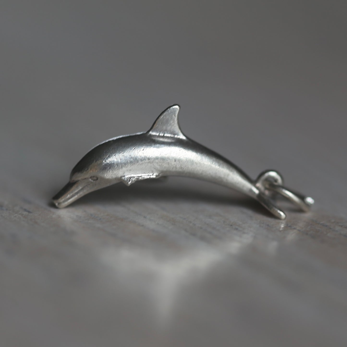 Fish and Marine Mammal Silver Charms