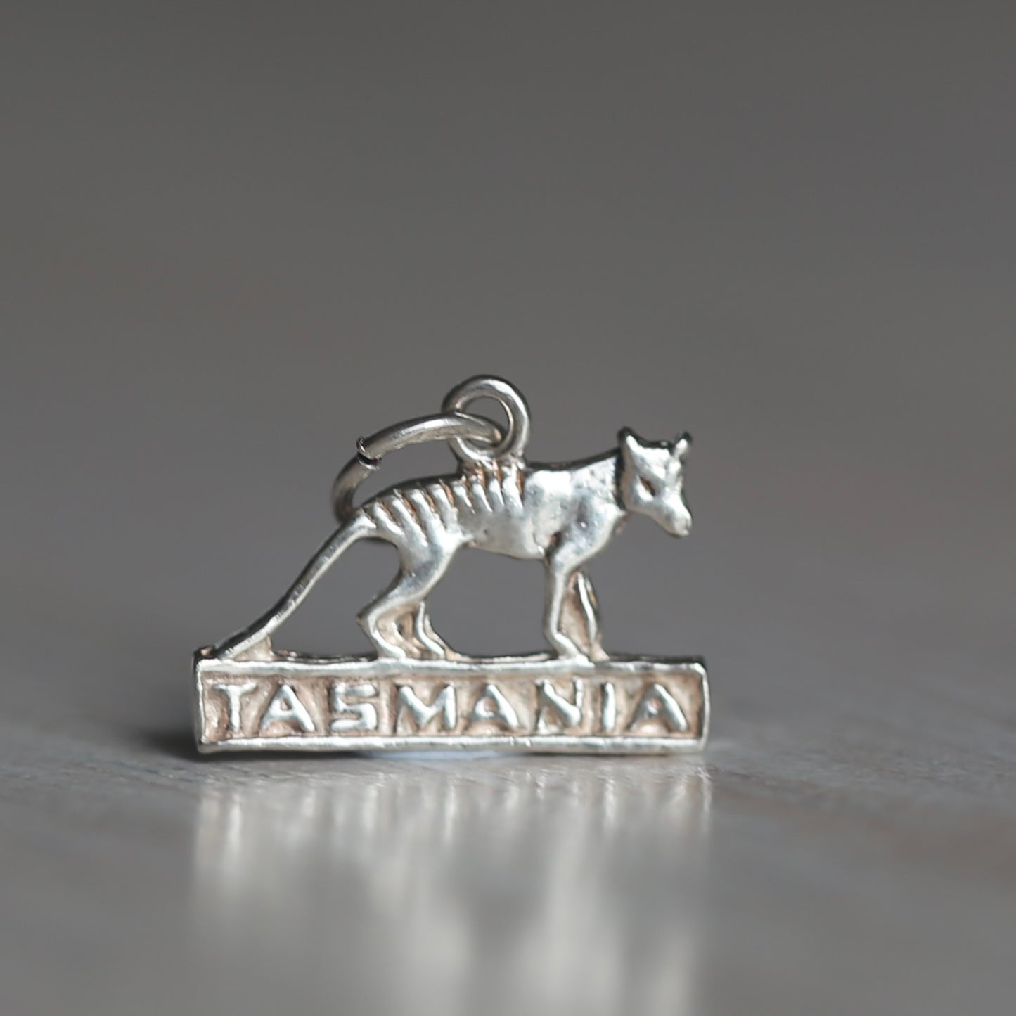 Australian Animal Silver Charms