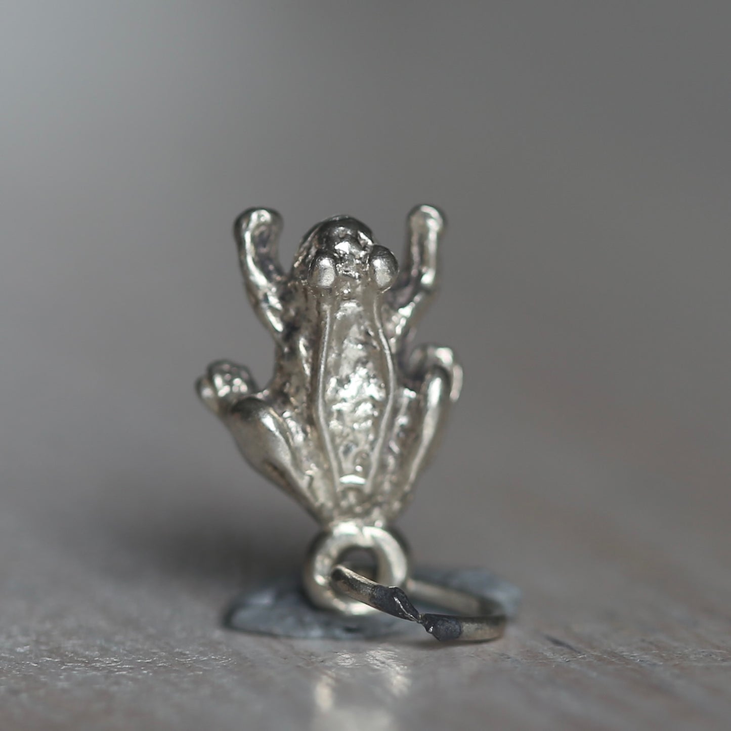 Reptile and Amphibian Silver Charms