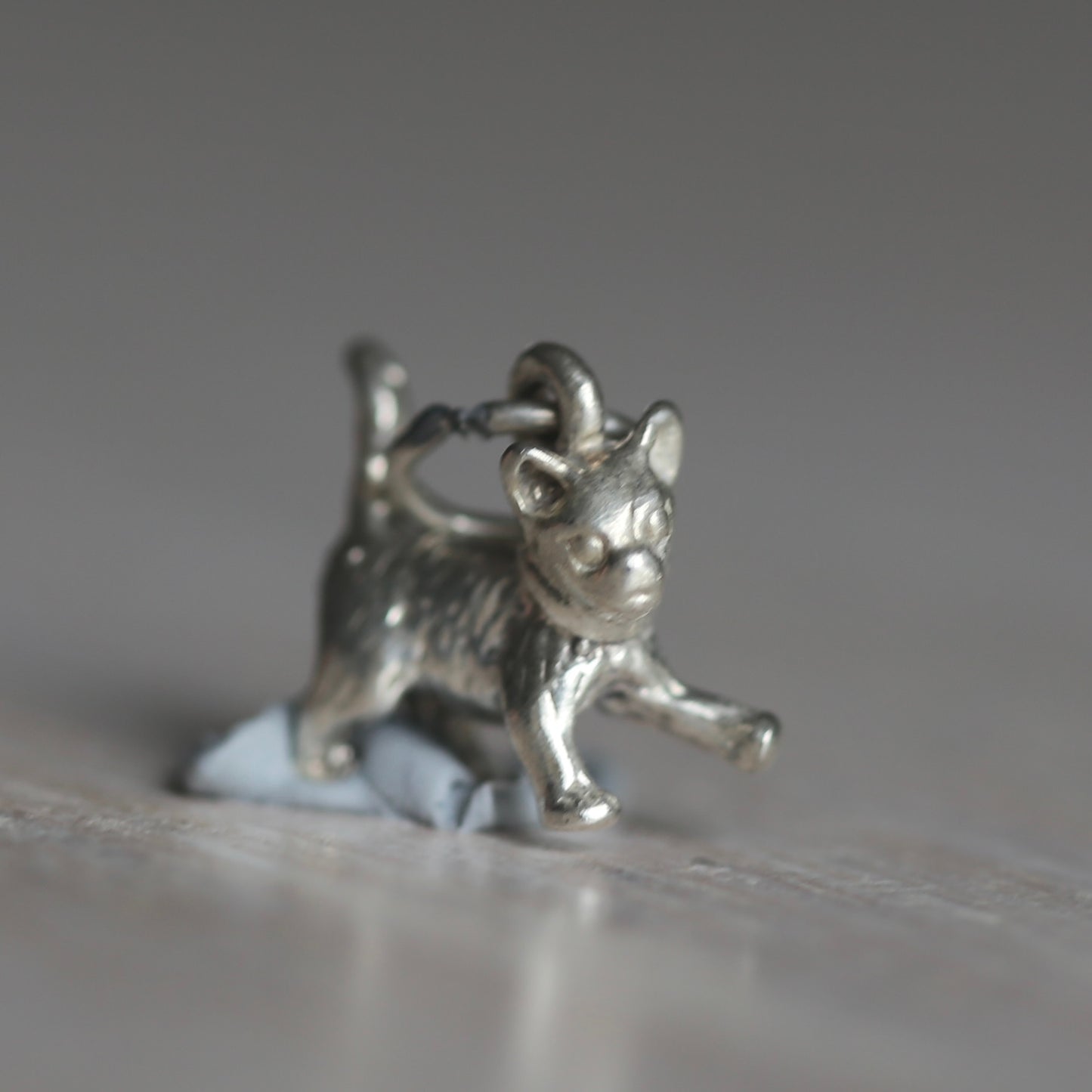 Dogs & Cats Silver Charms