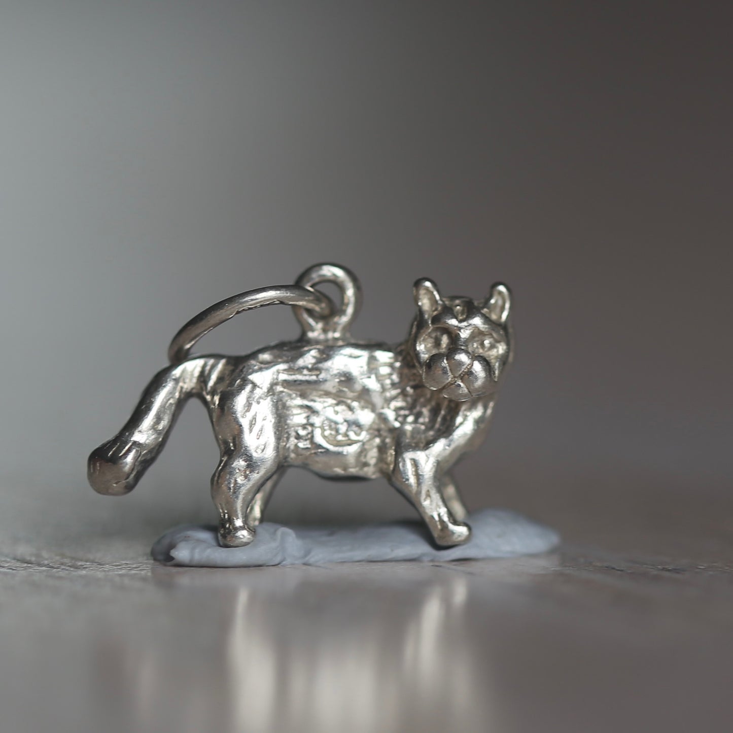 Dogs & Cats Silver Charms