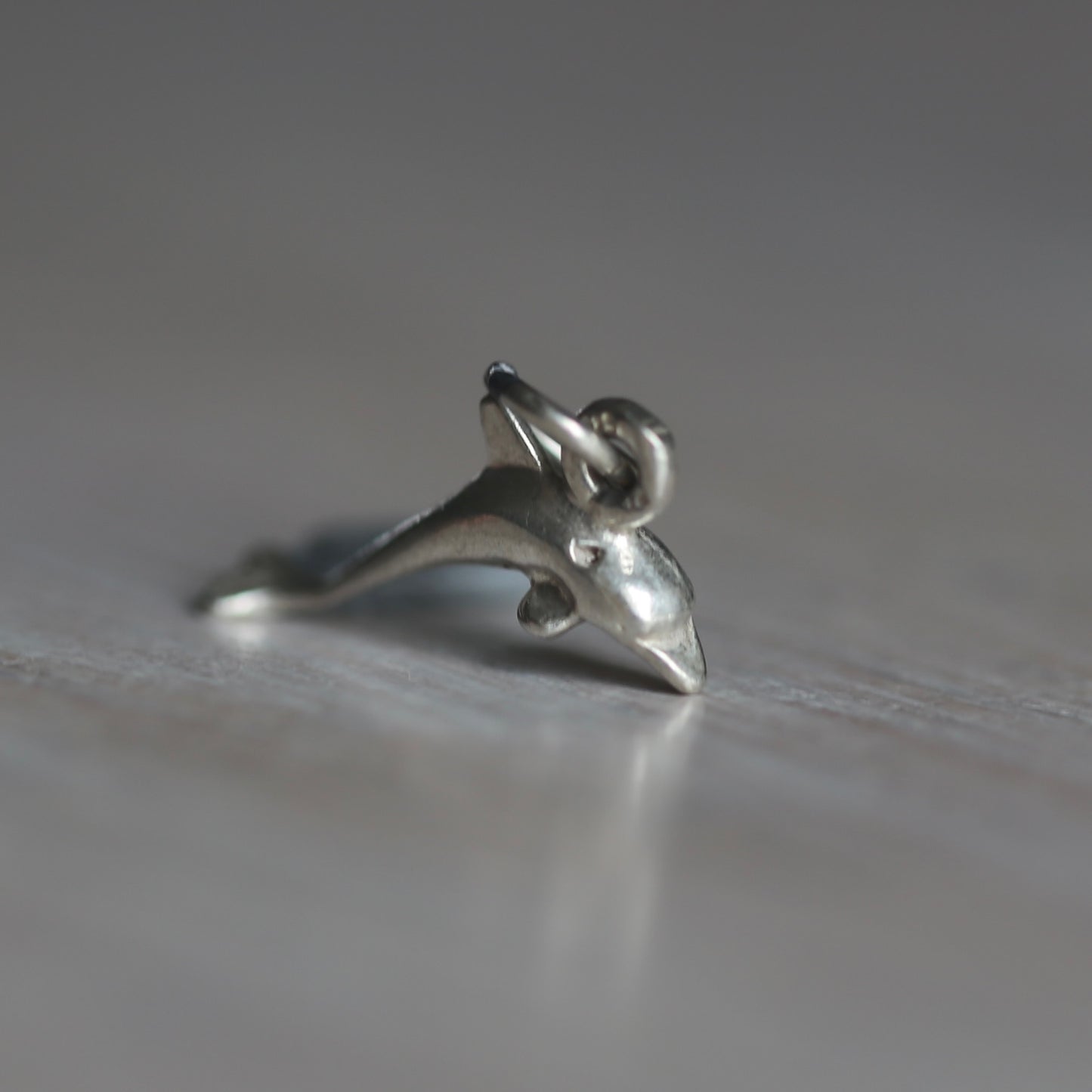 Fish and Marine Mammal Silver Charms